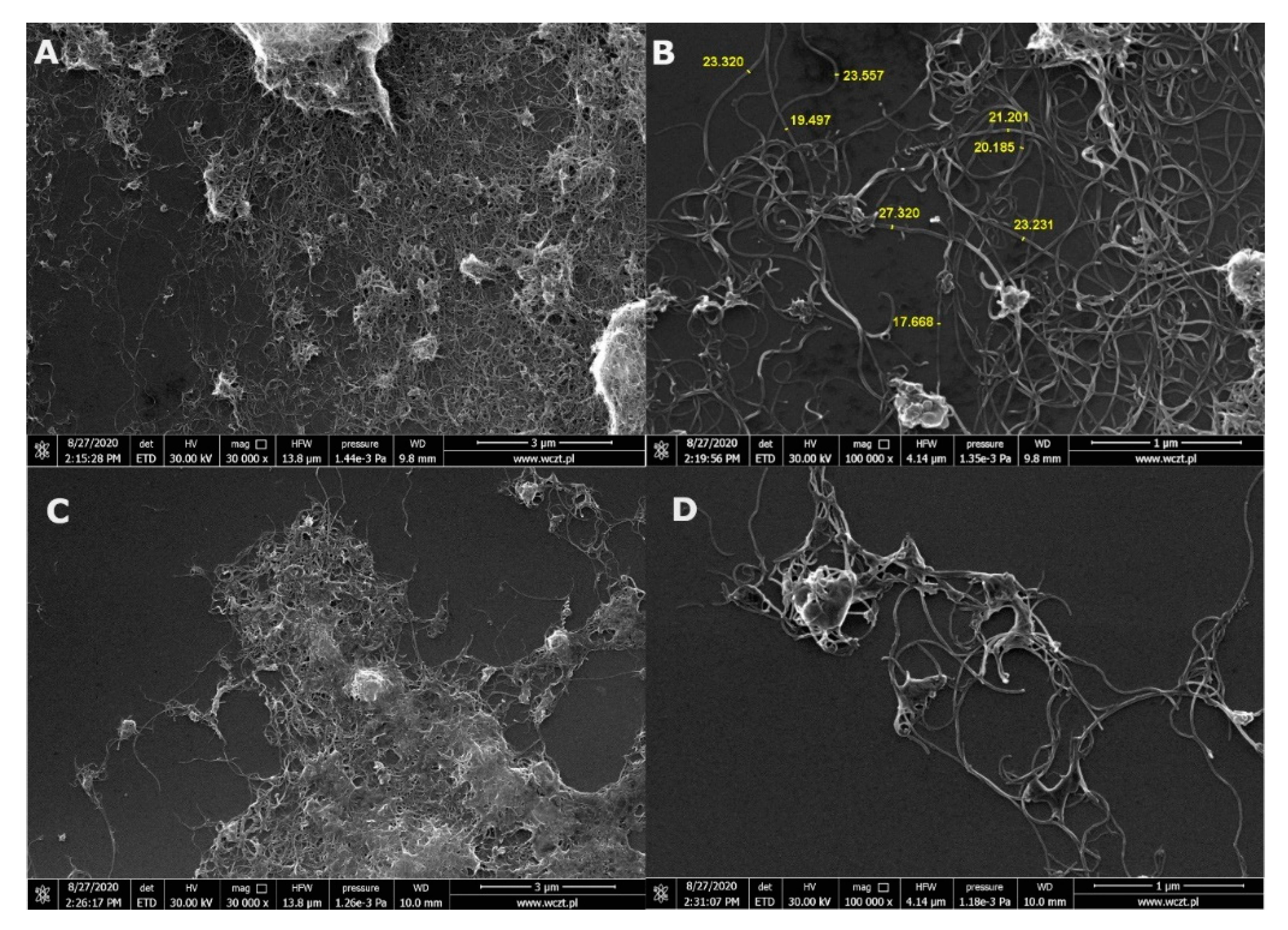 Materials 13 04270 g001