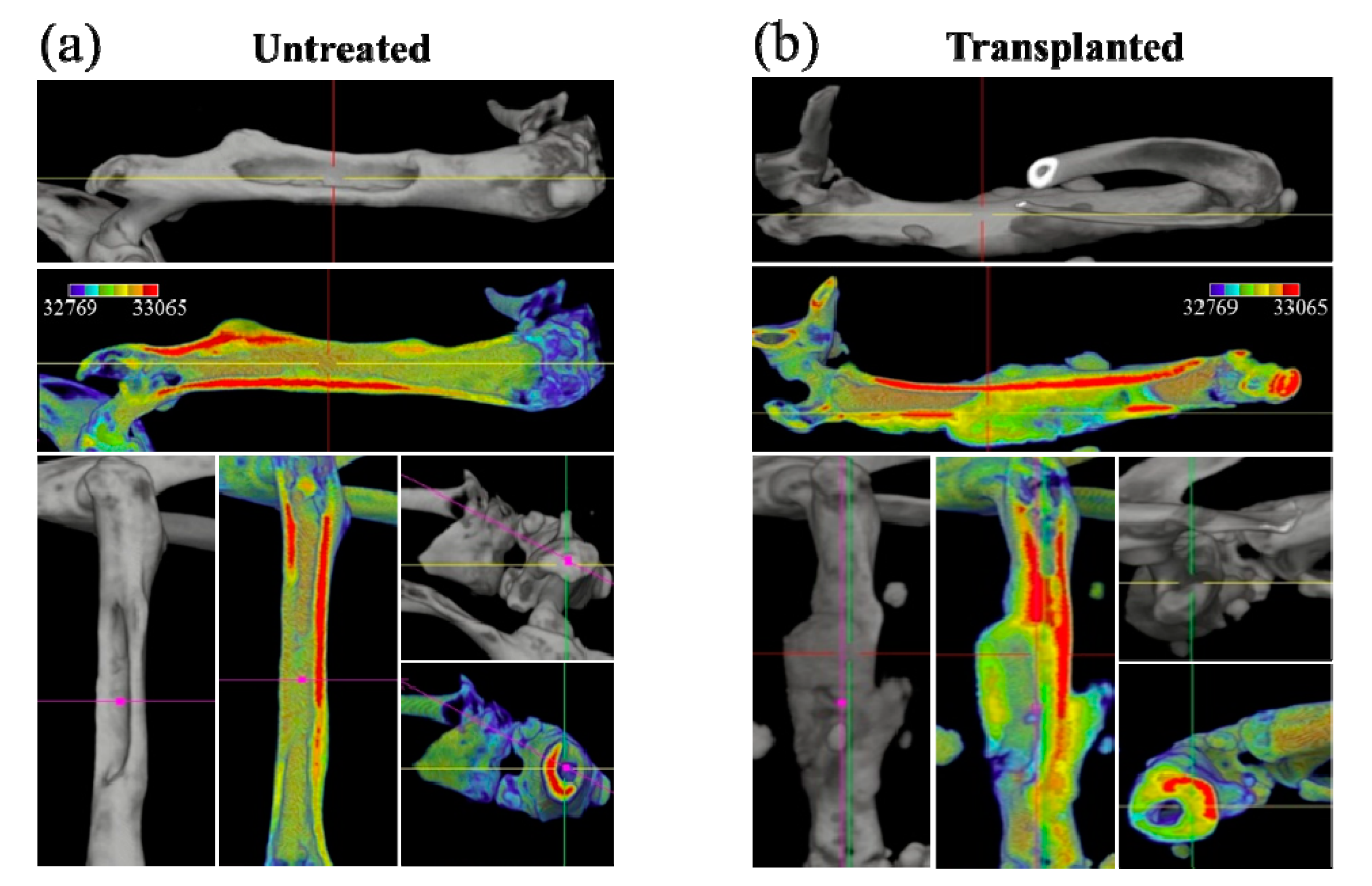 Materials 13 04275 g002