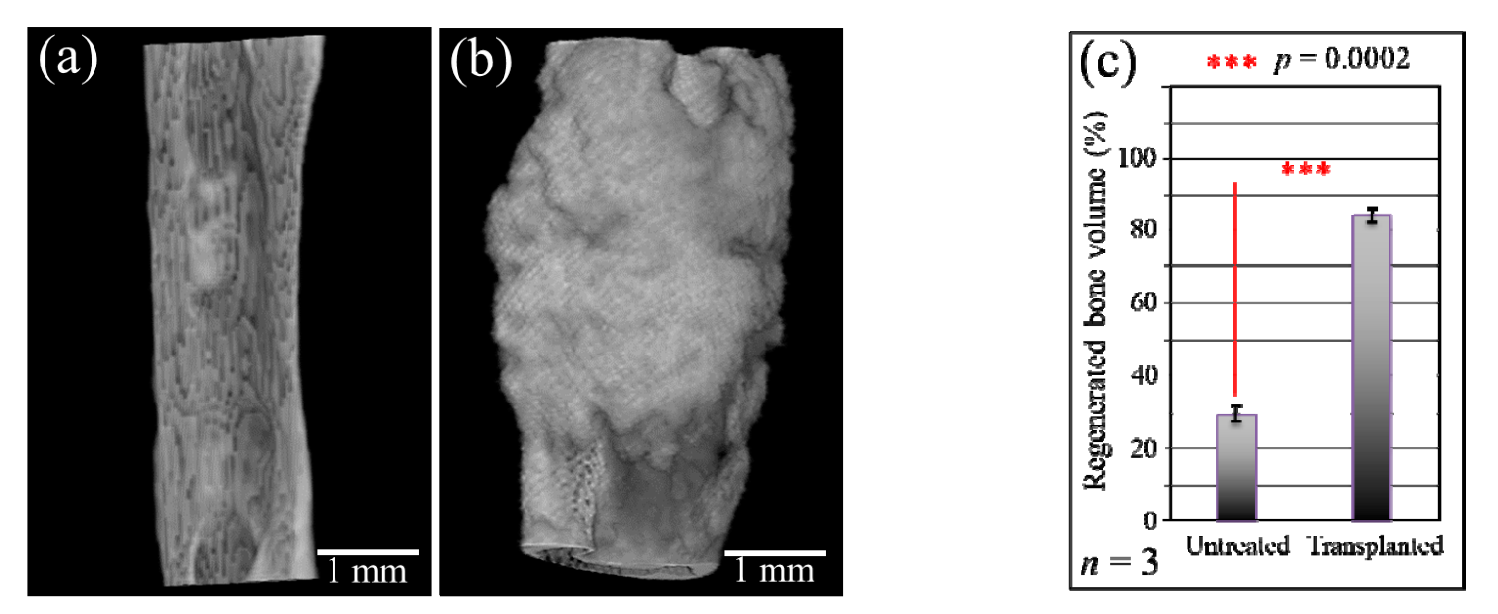 Materials 13 04275 g003