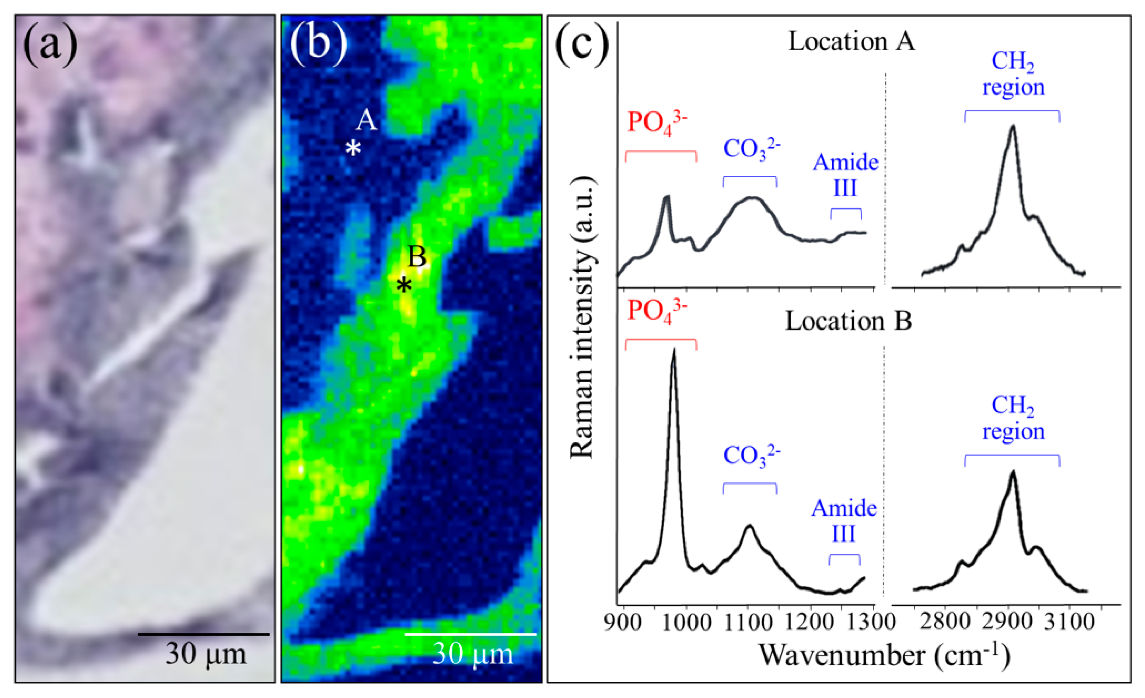 Materials 13 04275 g005