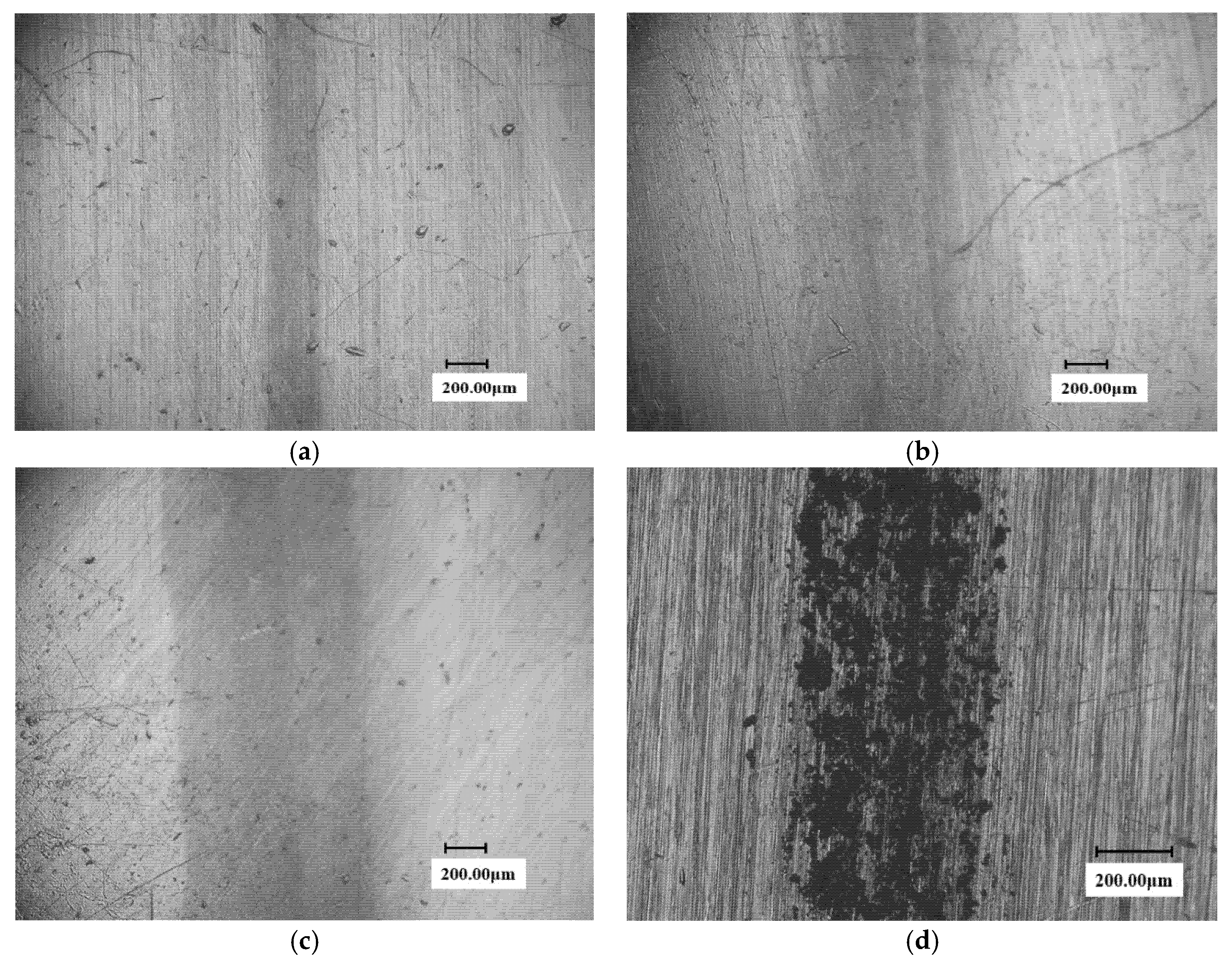 Materials 13 04286 g008