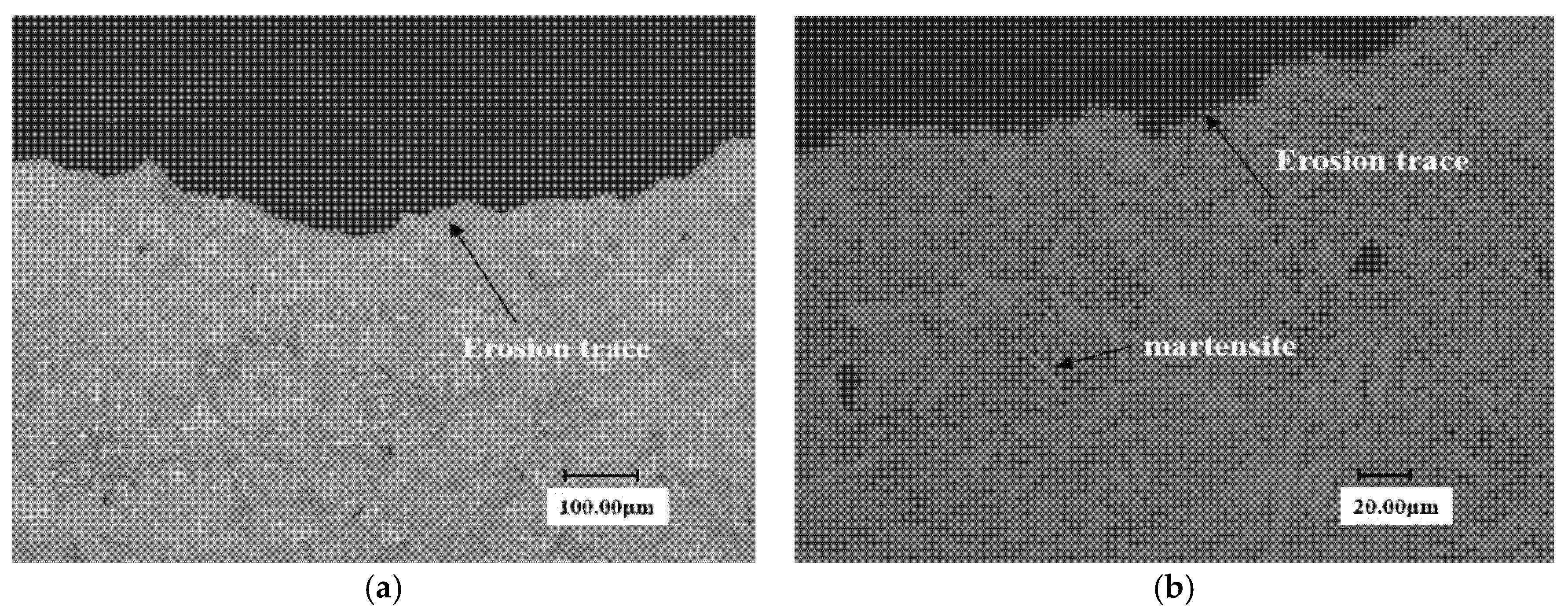 Materials 13 04286 g011