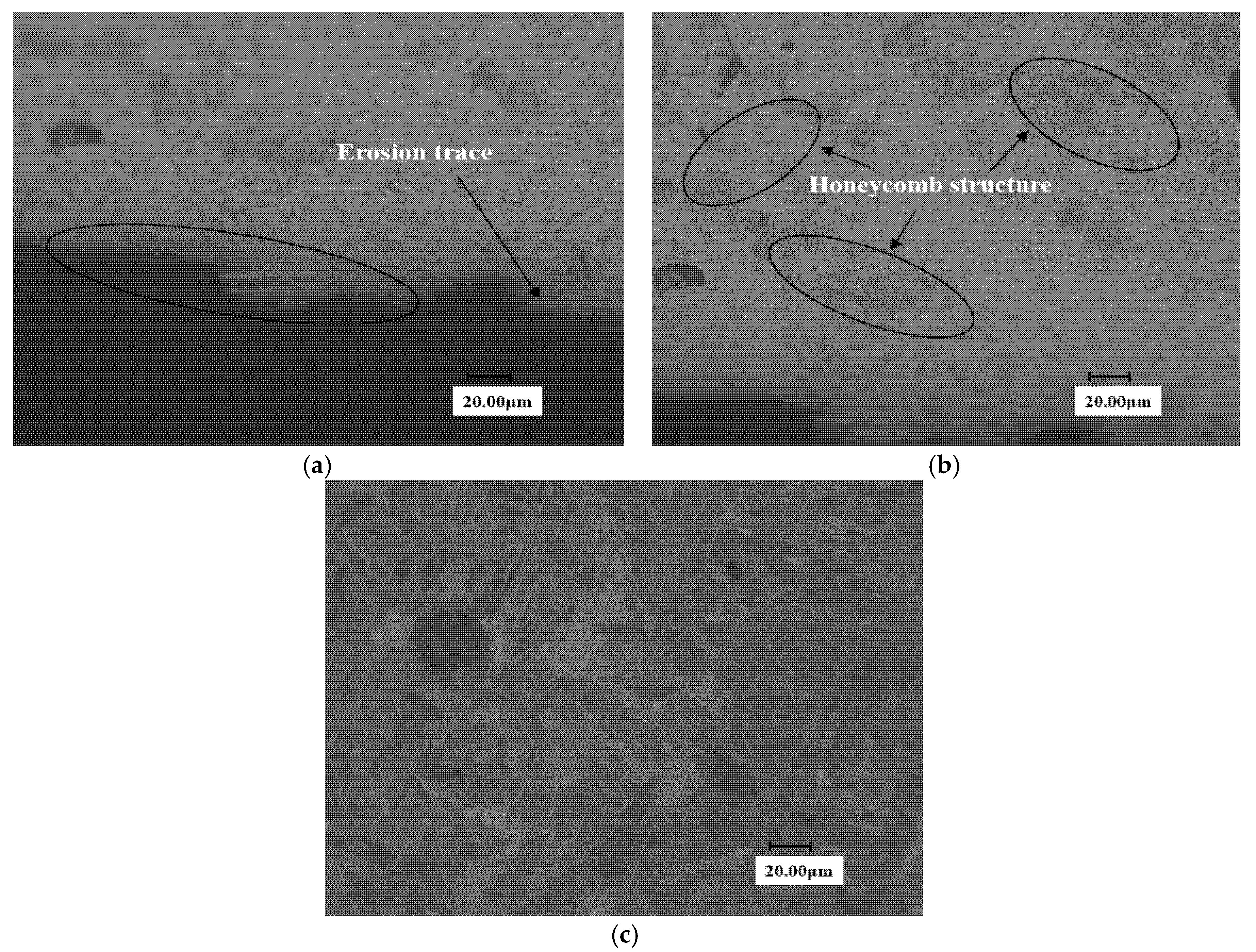 Materials 13 04286 g012