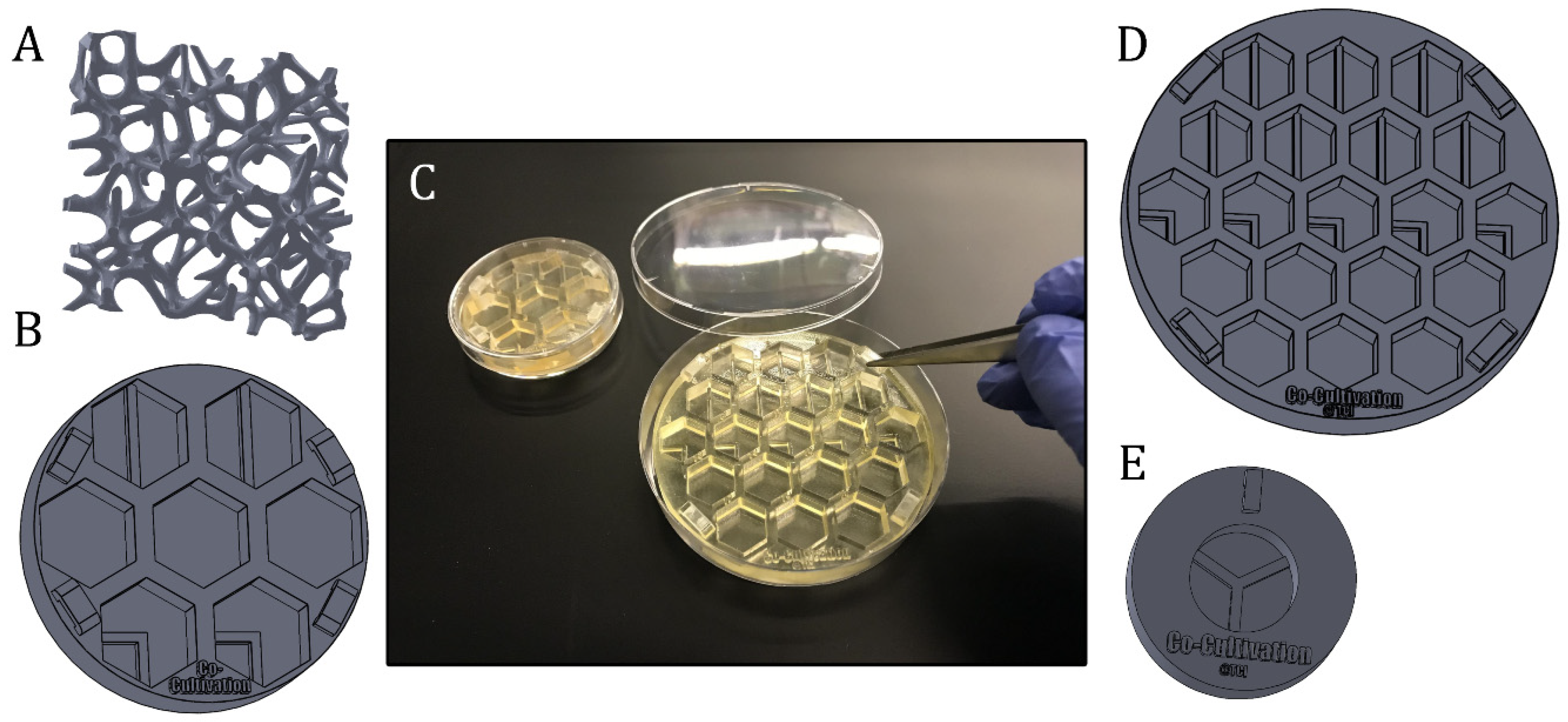 Materials 13 04290 g006