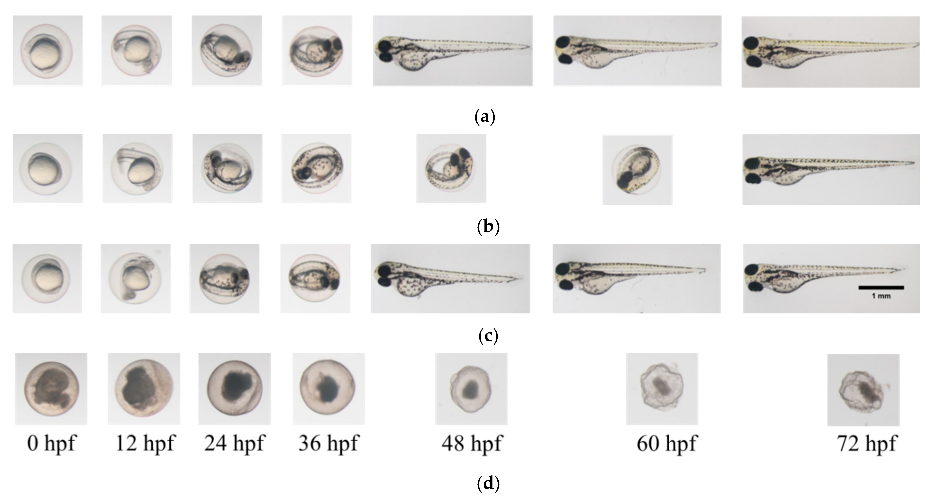 Materials 13 04299 g003