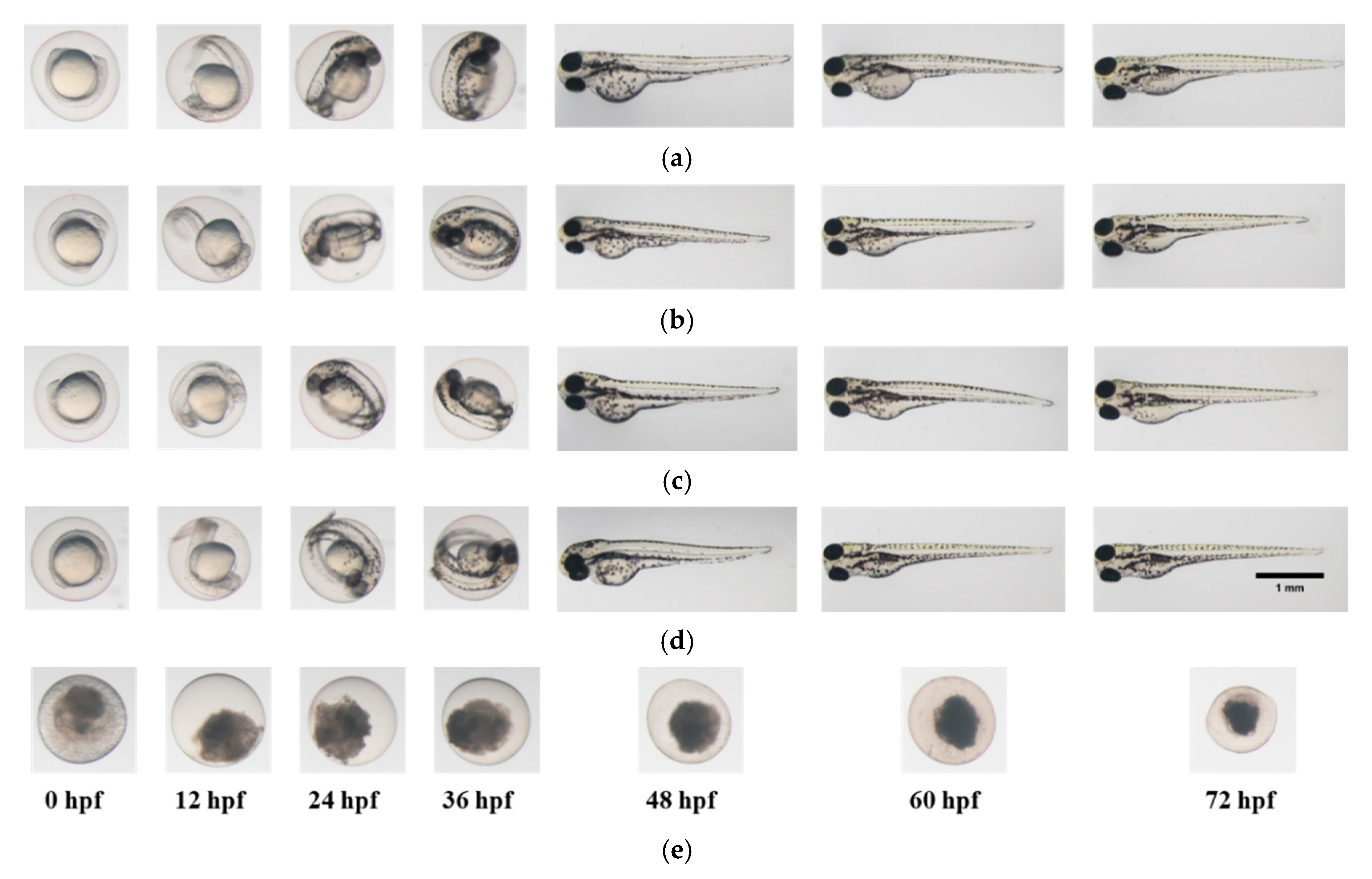 Materials 13 04299 g005