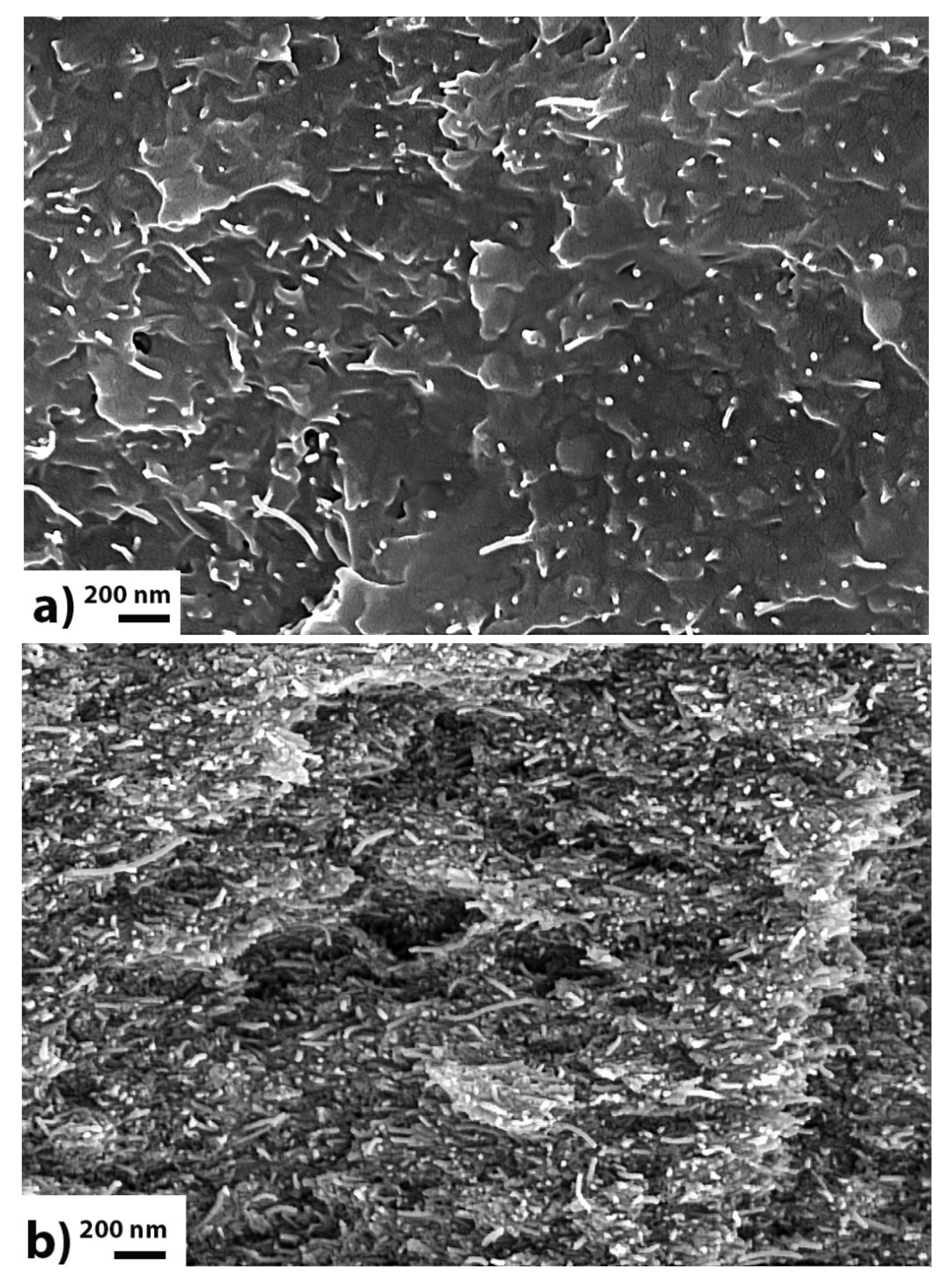 Materials 13 04308 g008