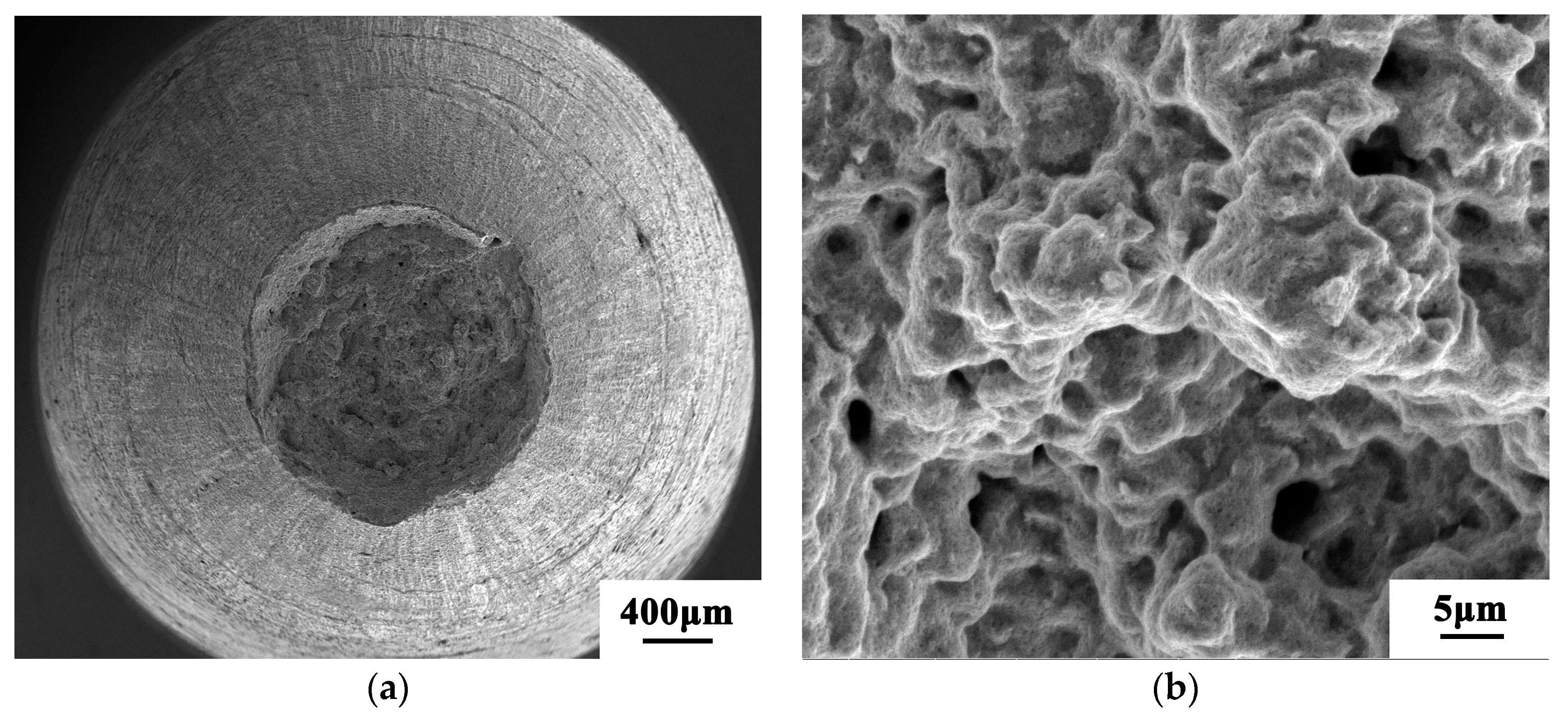 Materials 13 04316 g013a