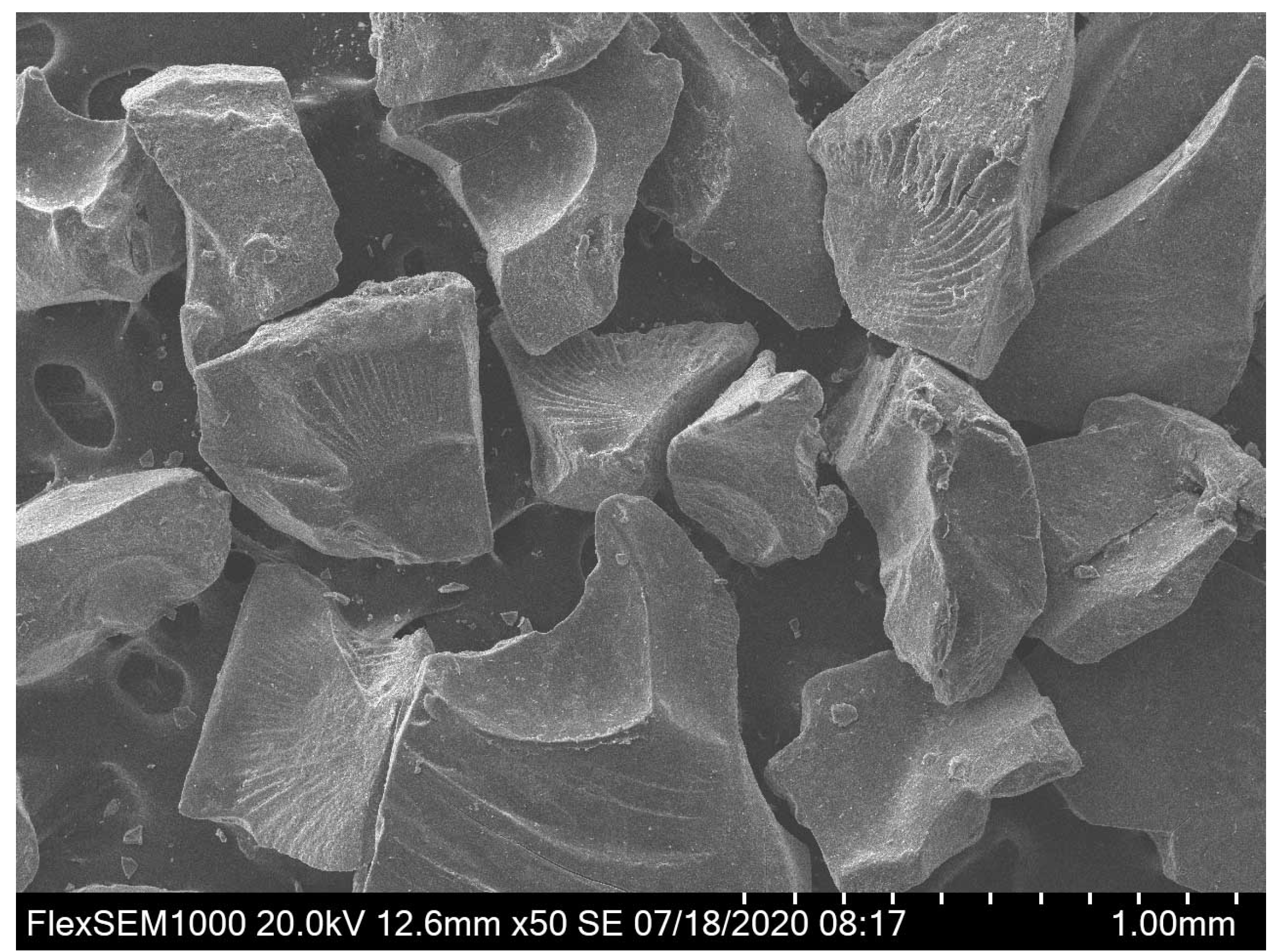 Materials 13 04318 g002 Materials 13 04318 g002