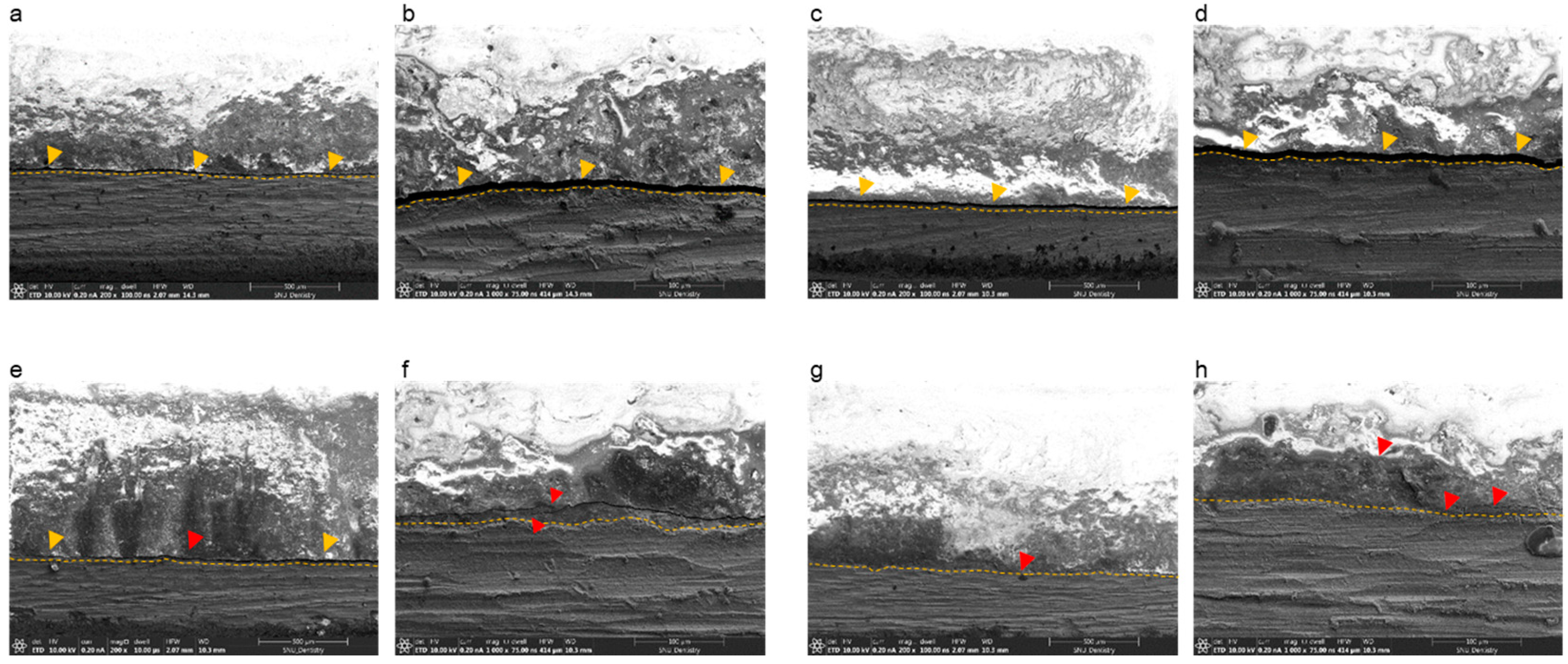 Materials 13 04322 g005 Materials 13 04322 g005