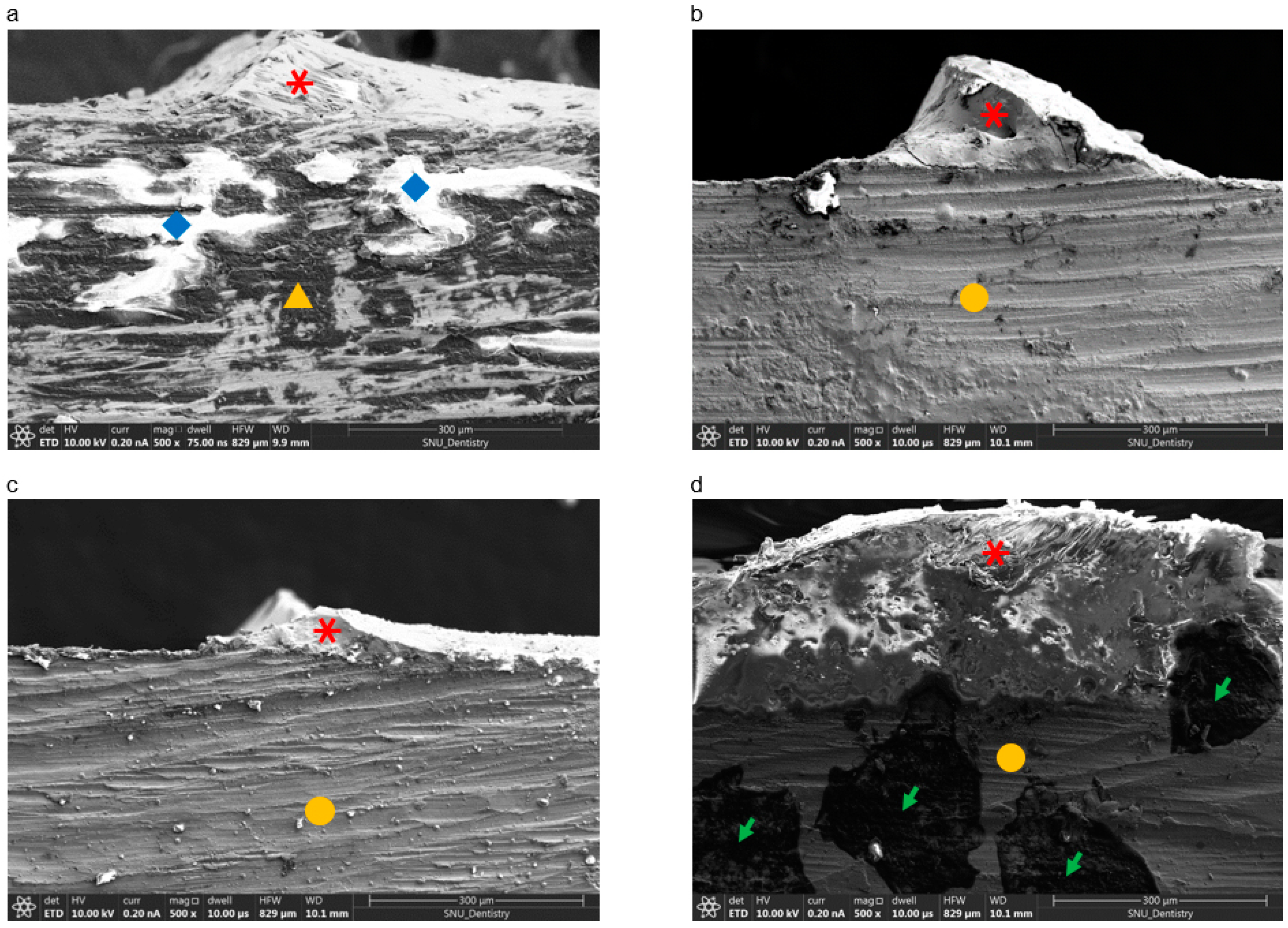 Materials 13 04322 g007 Materials 13 04322 g007