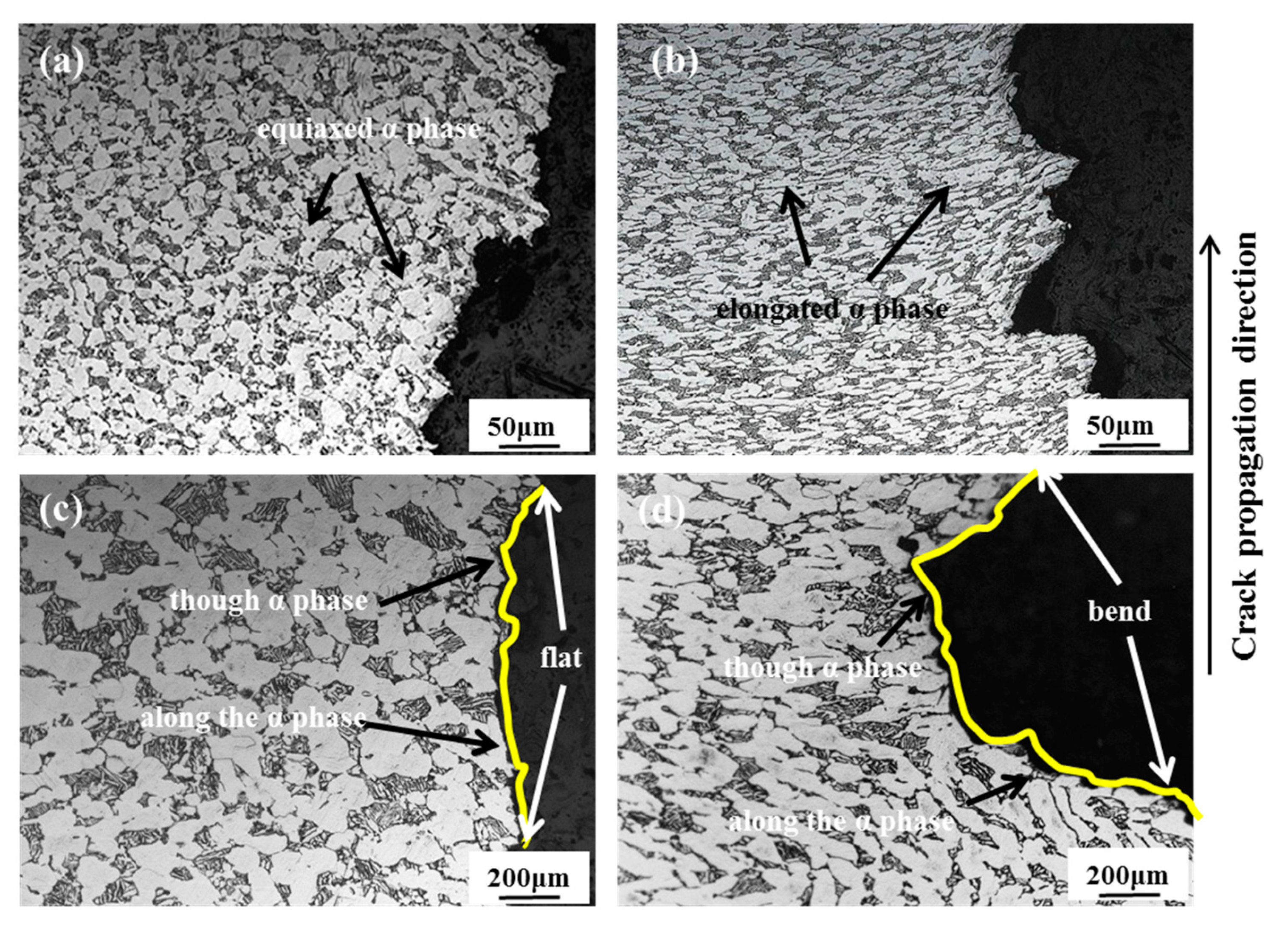 Materials 13 04332 g006