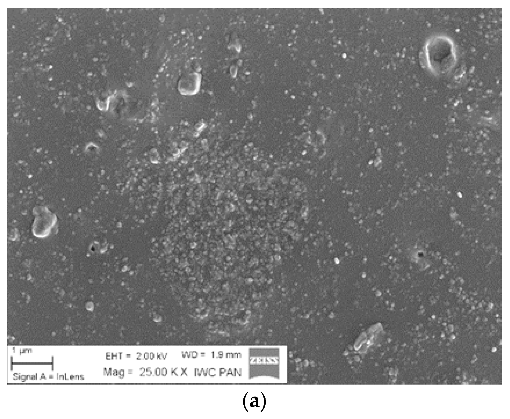 Materials 13 04337 g004a Materials 13 04337 g004a