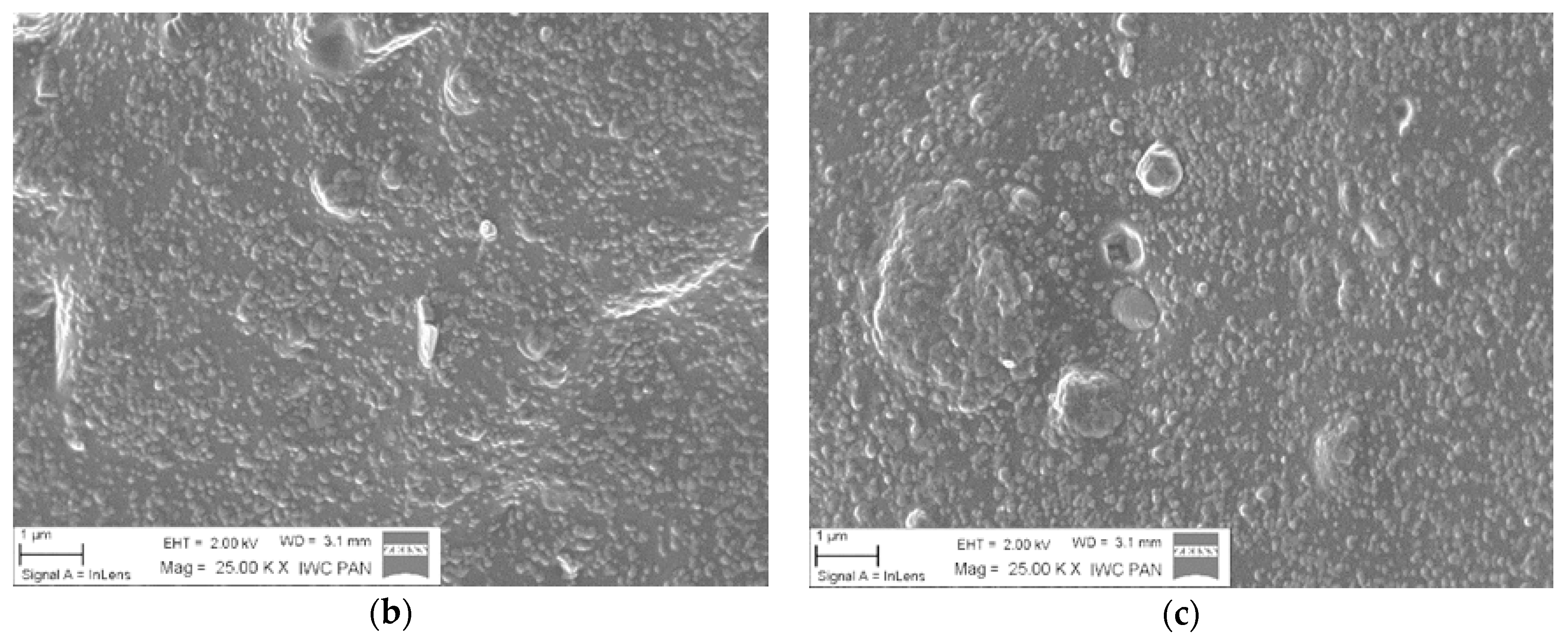 Materials 13 04337 g004b Materials 13 04337 g004b