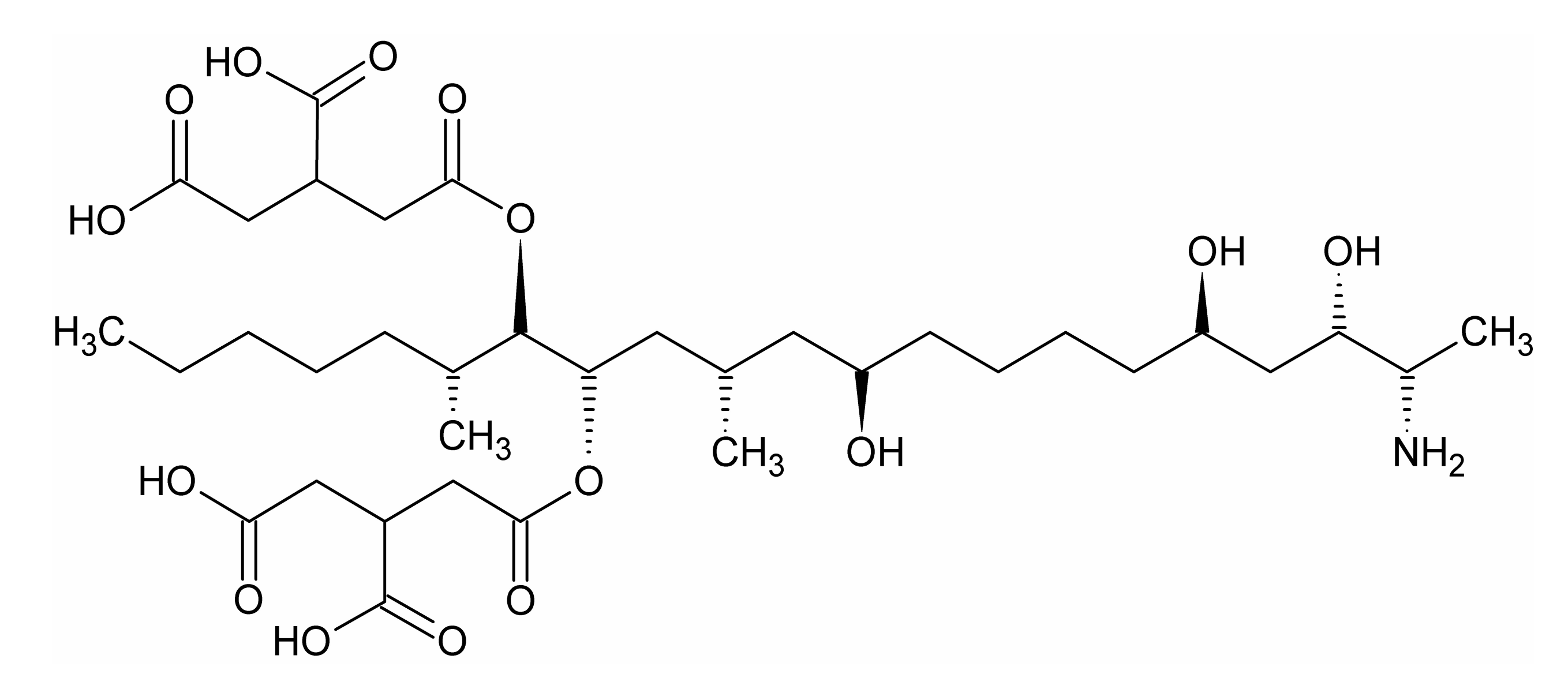 Materials 13 04344 g001