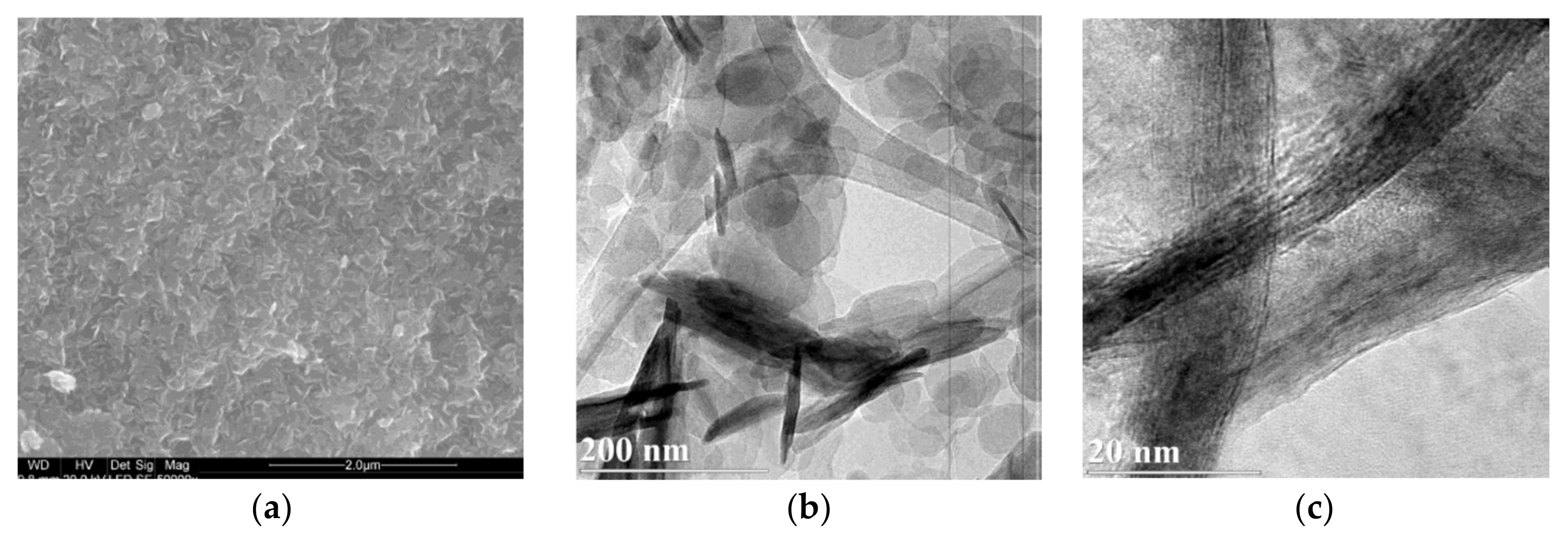 Materials 13 04344 g004a