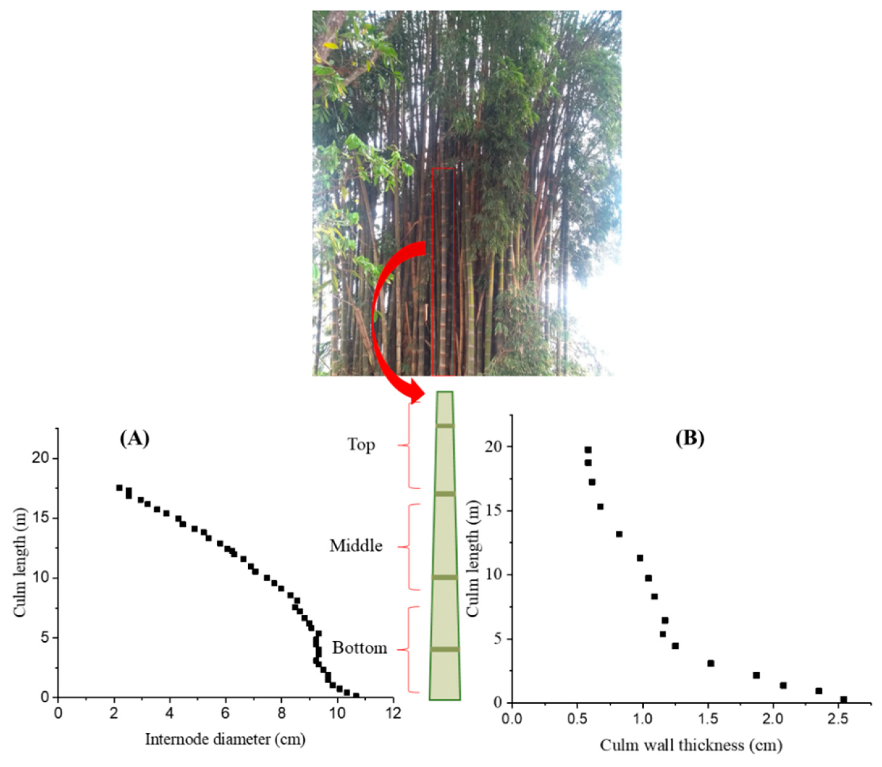 Materials 13 04346 g001