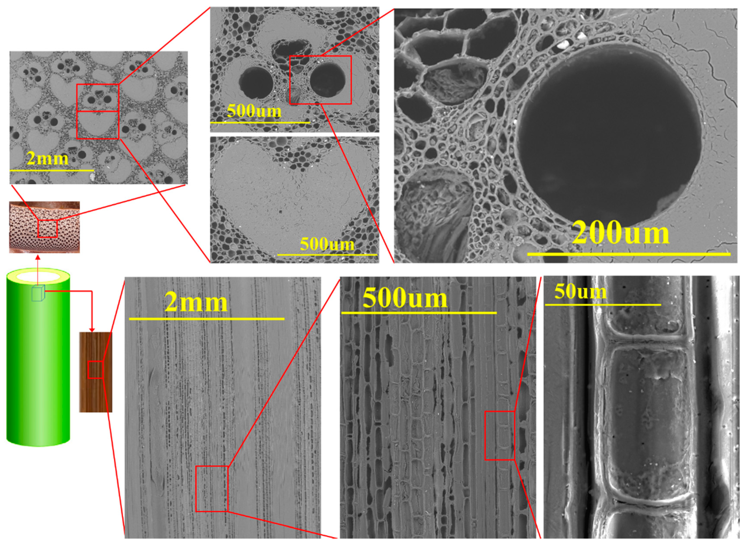 Materials 13 04346 g004