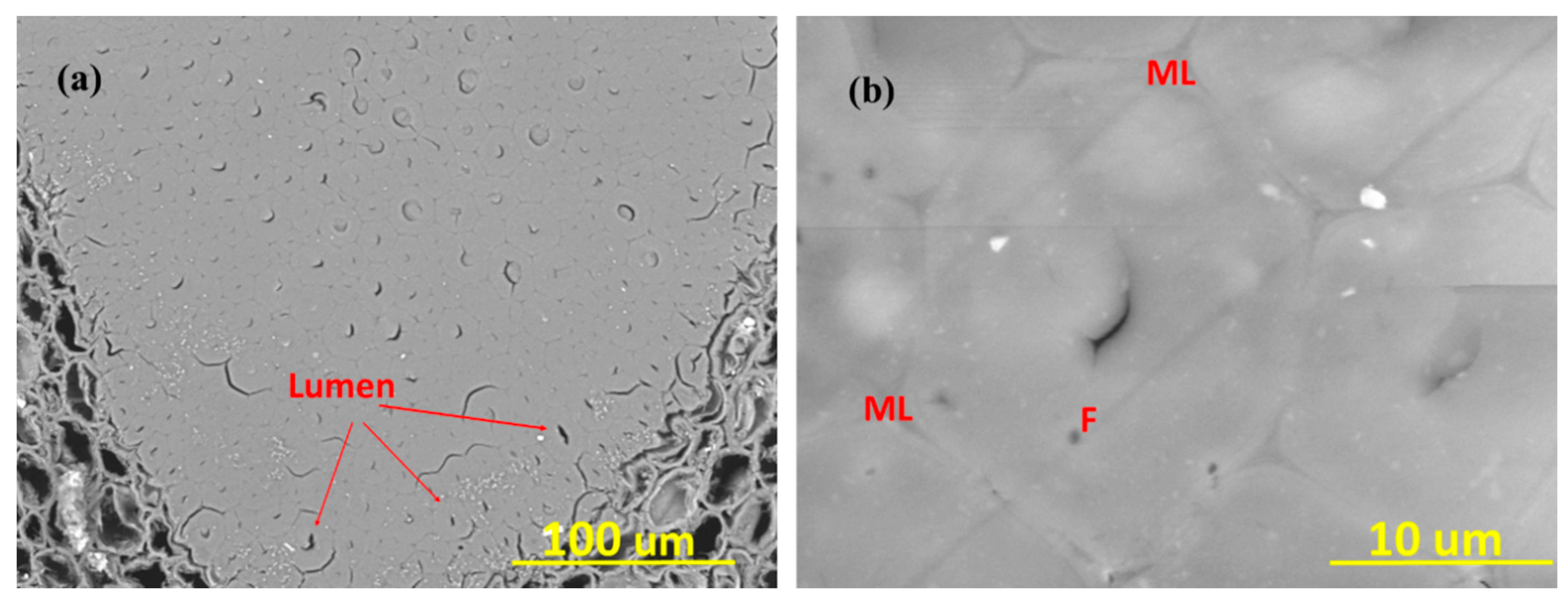 Materials 13 04346 g005