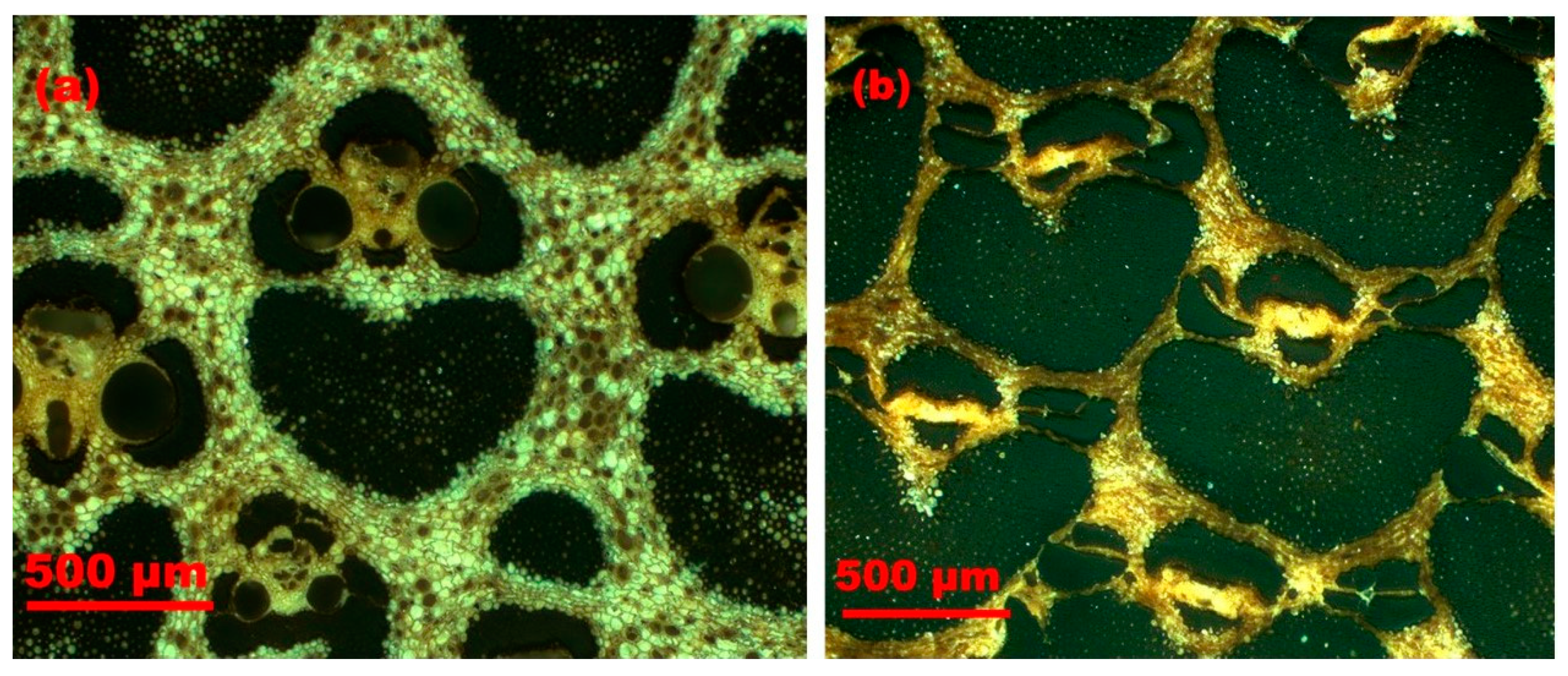 Materials 13 04346 g019