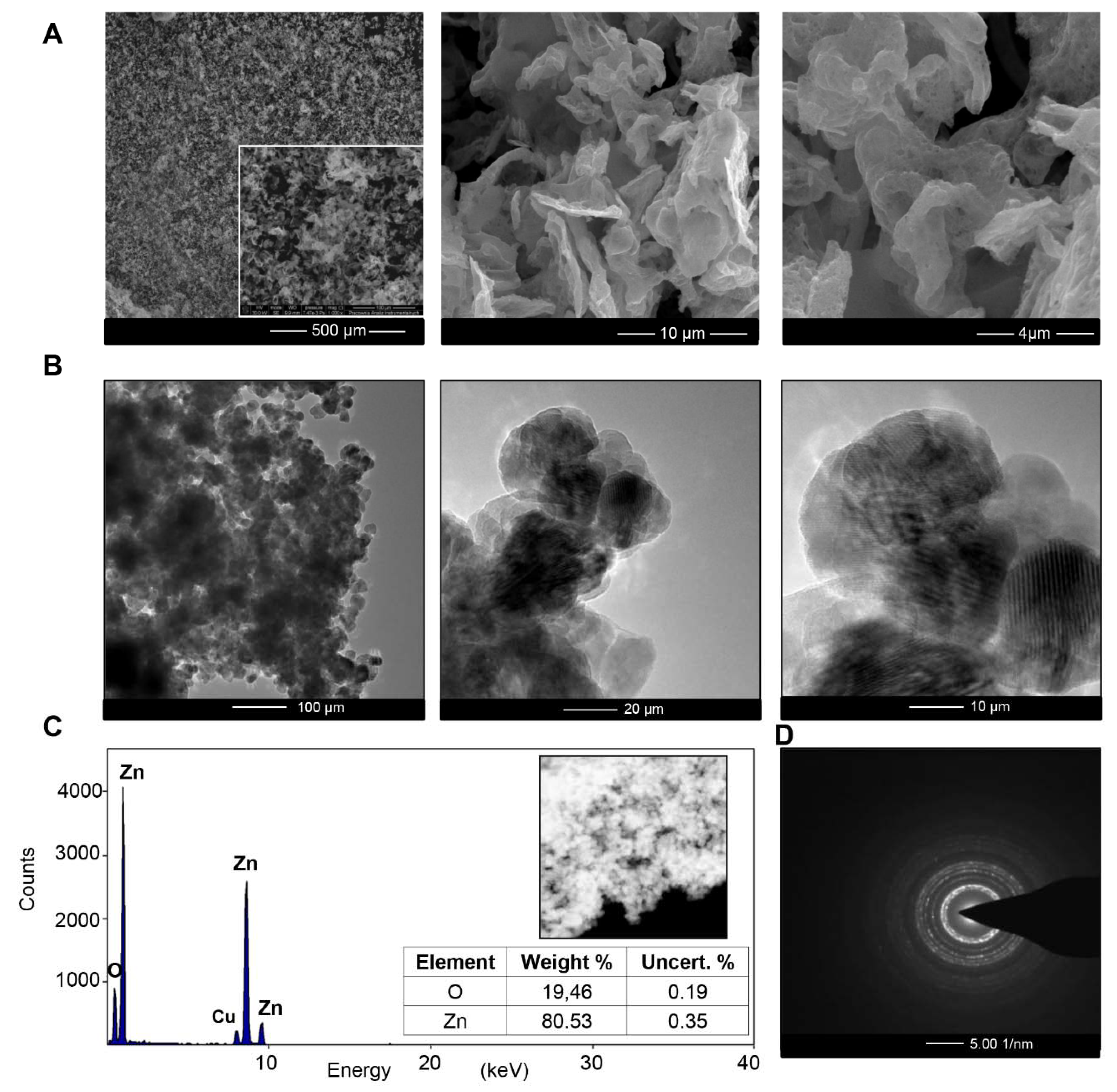 Materials 13 04347 g001