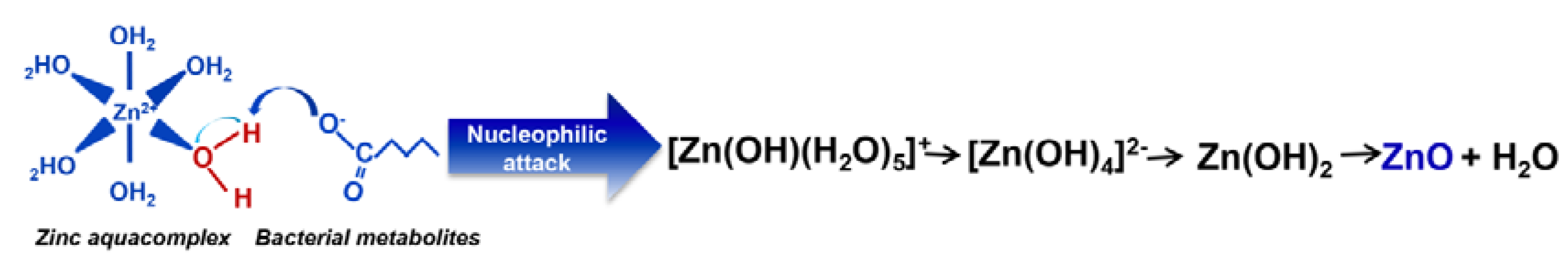 Materials 13 04347 g005