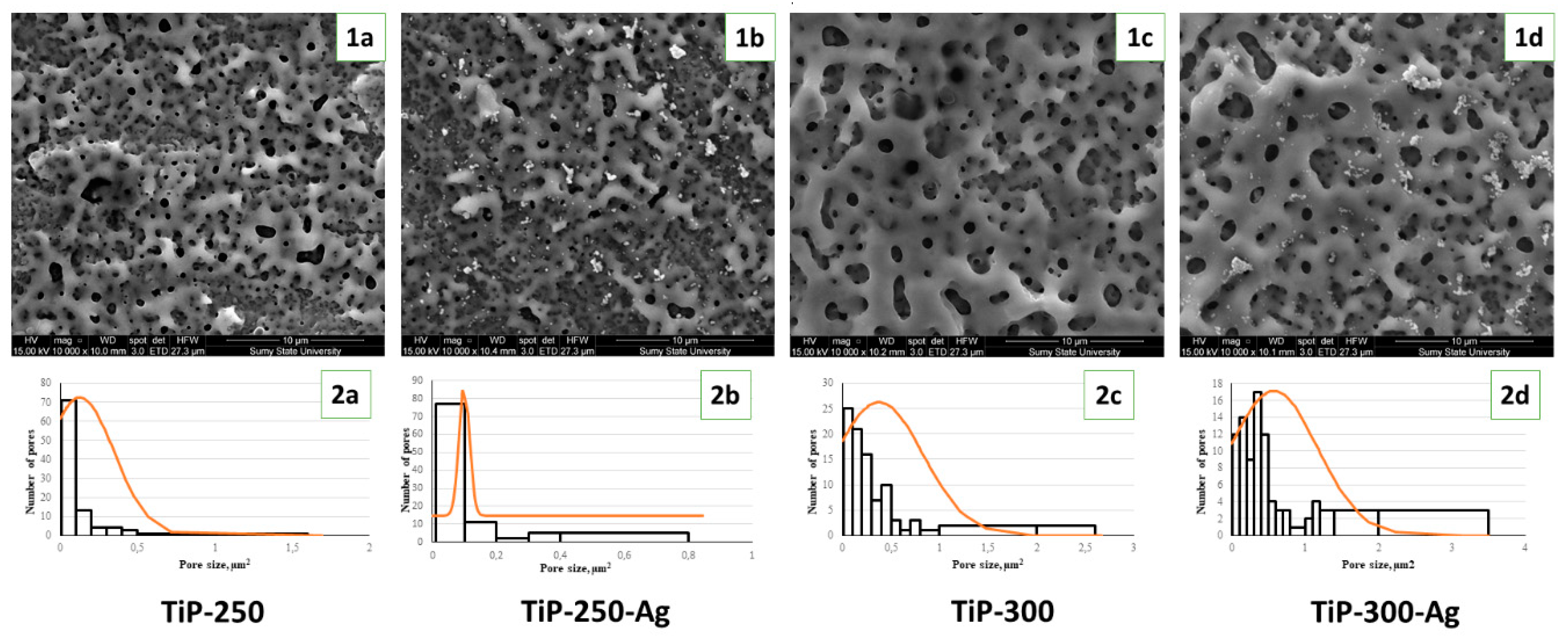 Materials 13 04359 g002 Materials 13 04359 g002