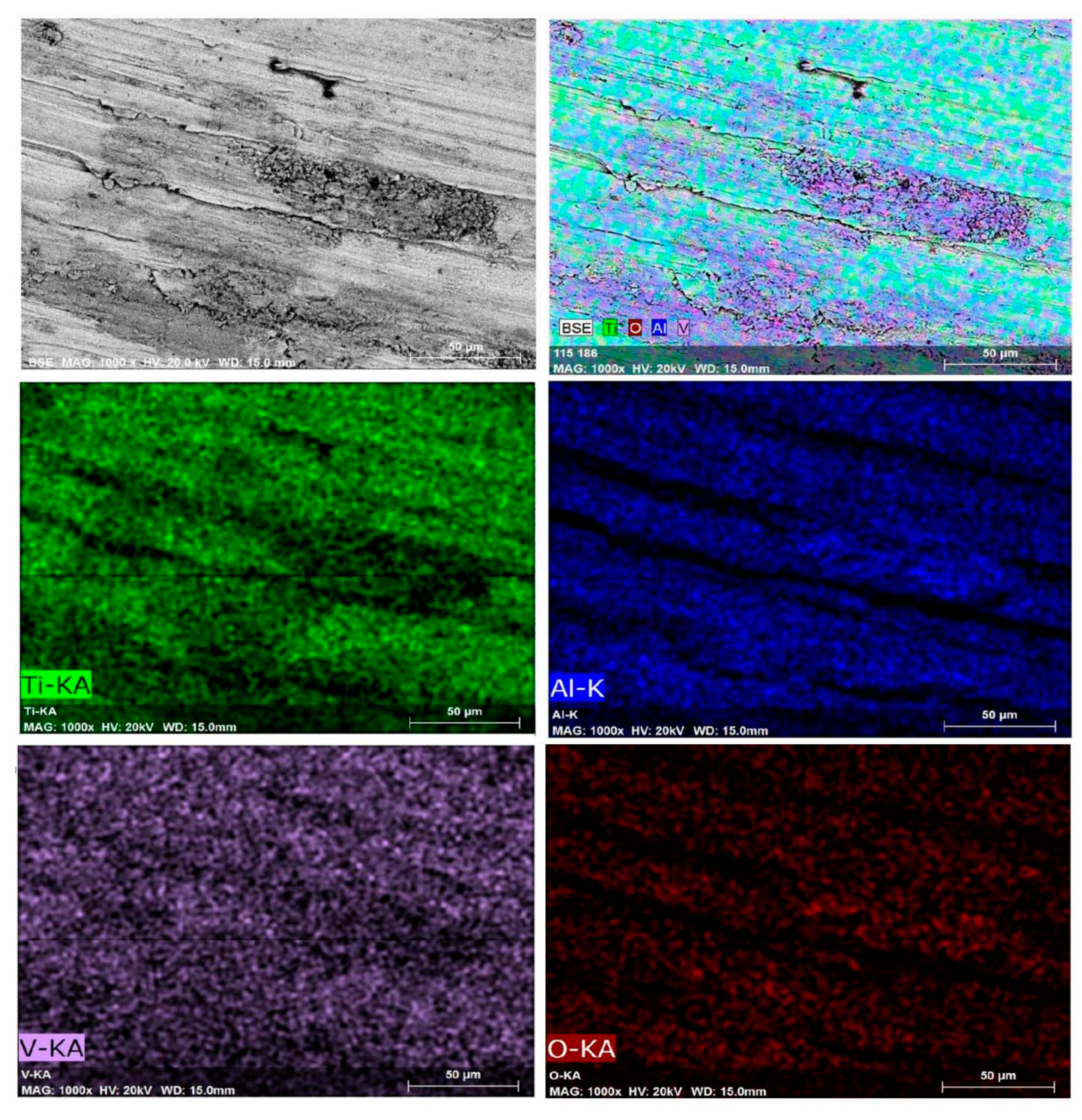 Materials 13 04363 g011