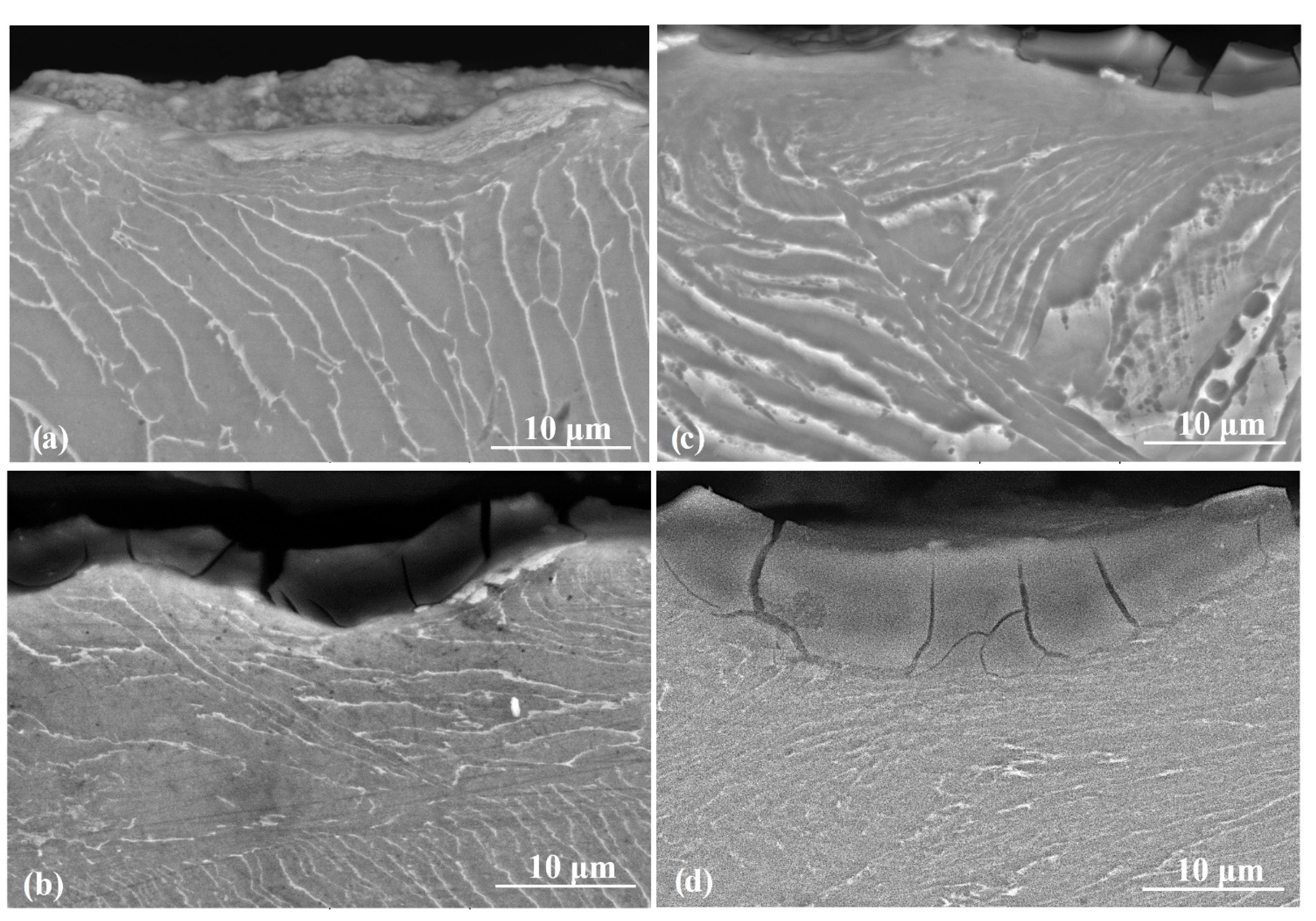 Materials 13 04363 g013