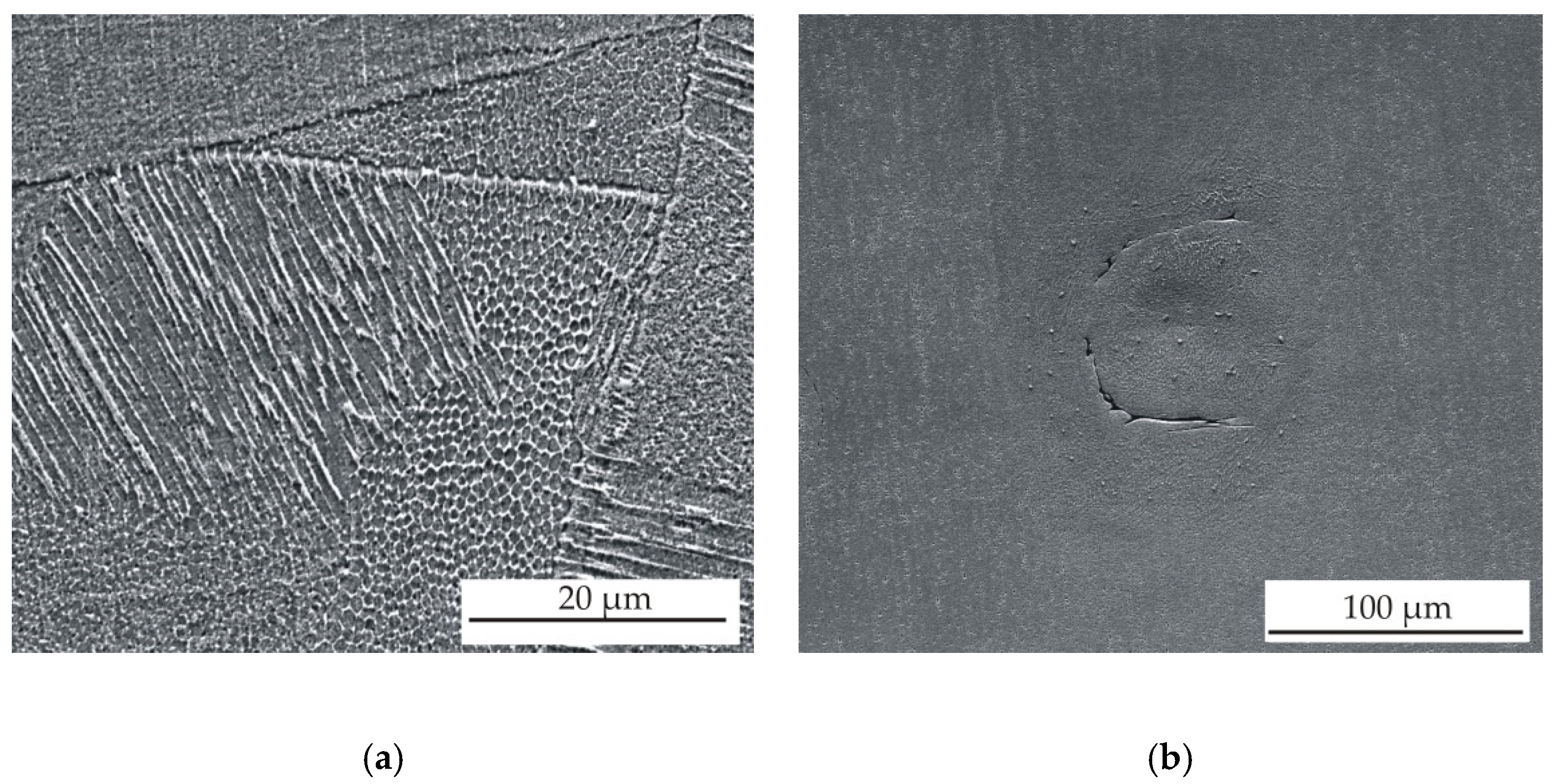 Materials 13 04377 g010