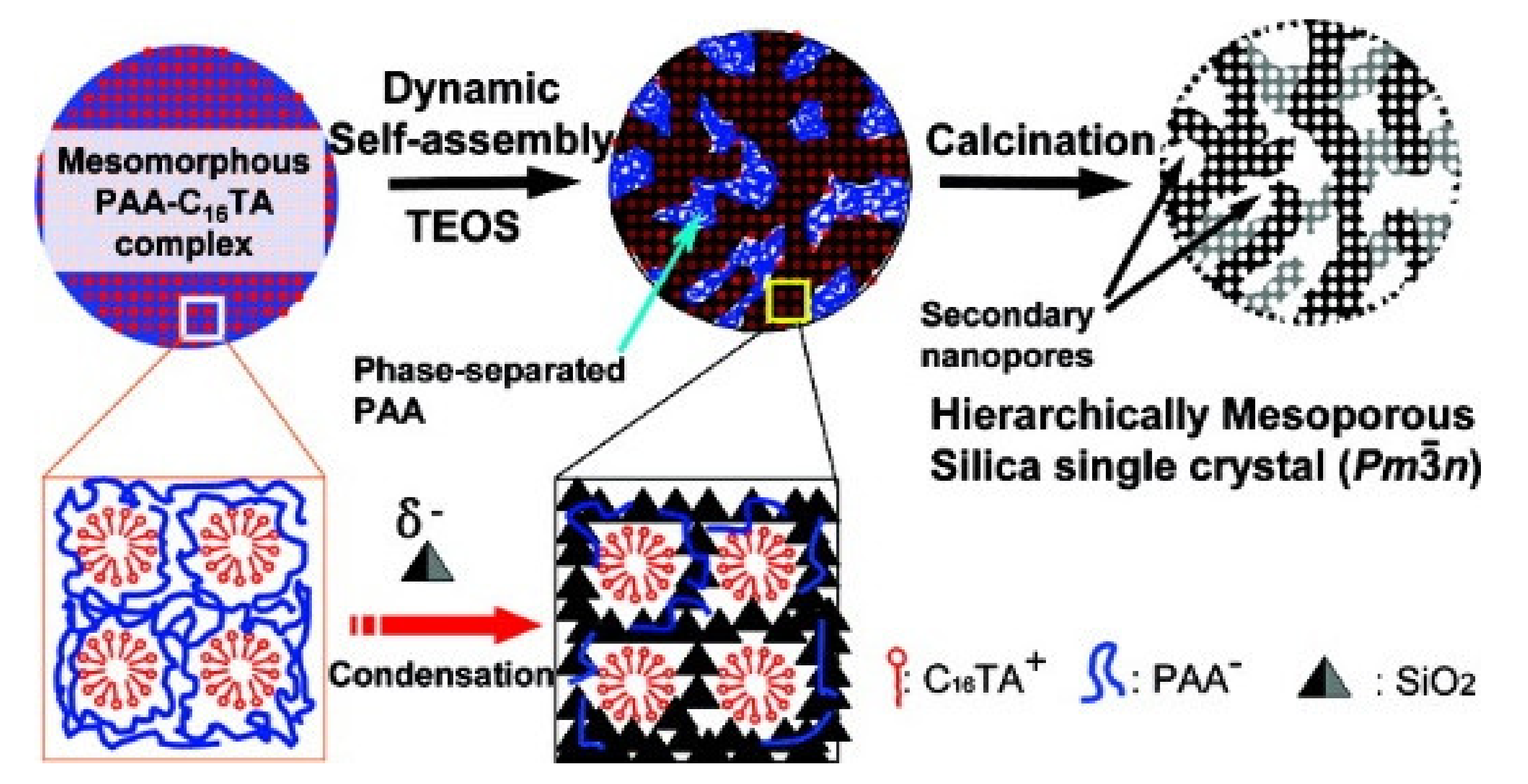 Materials 13 04385 g006