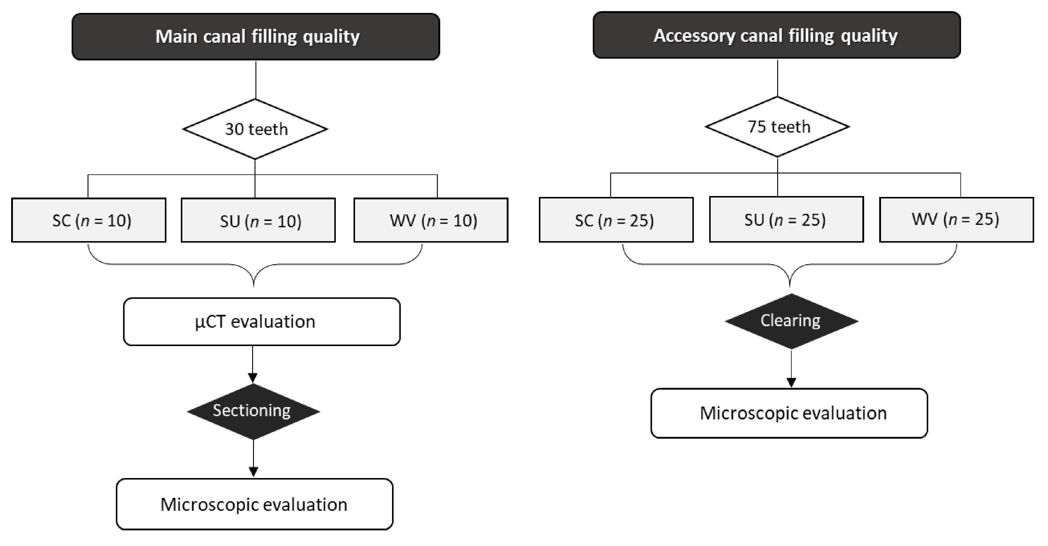 Materials 13 04389 g001