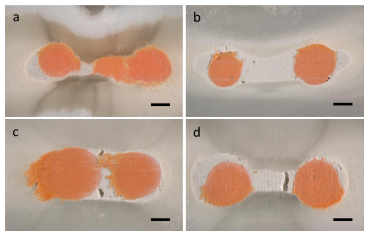 Materials 13 04389 g004