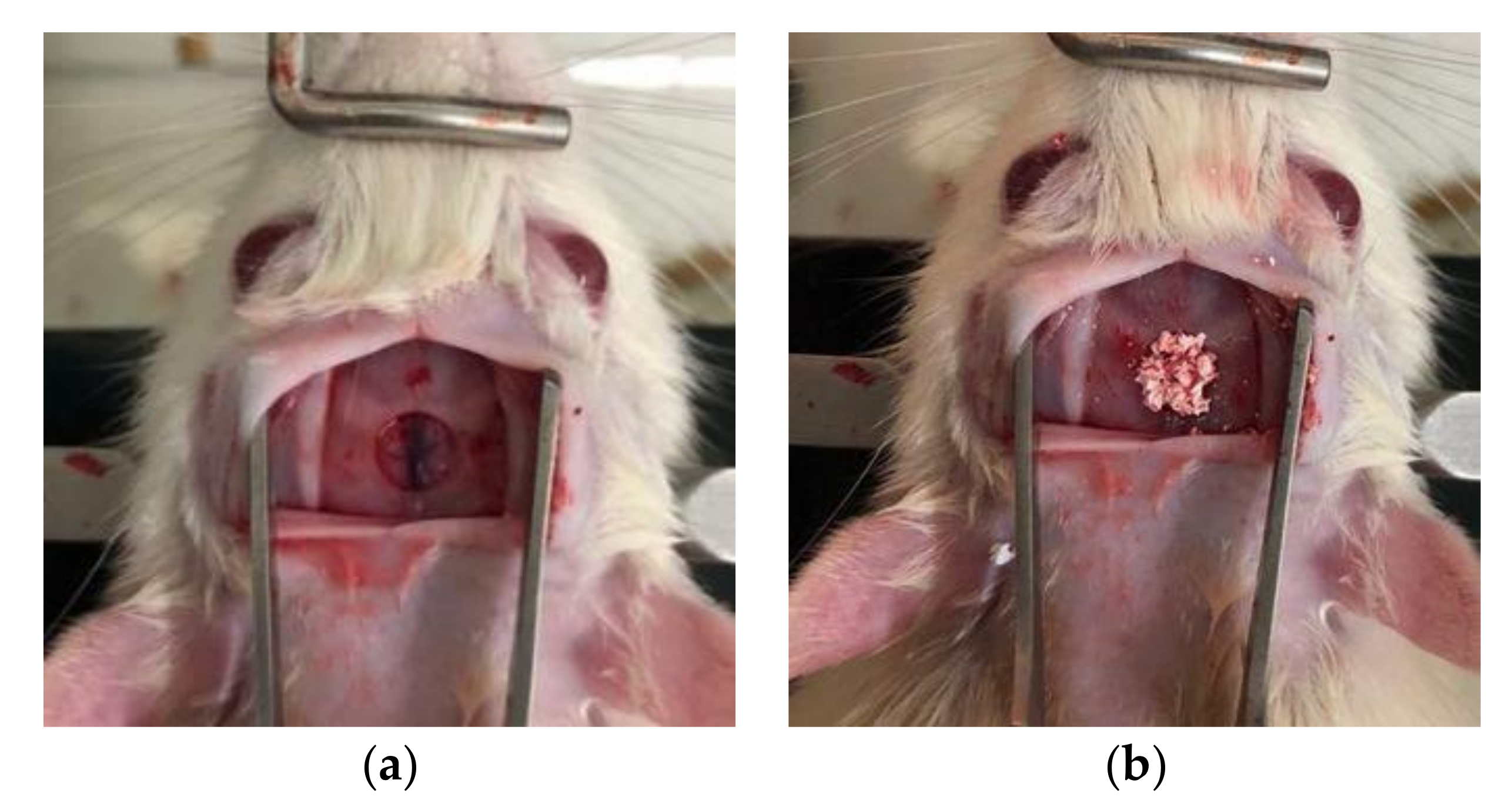 Materials 13 04391 g002