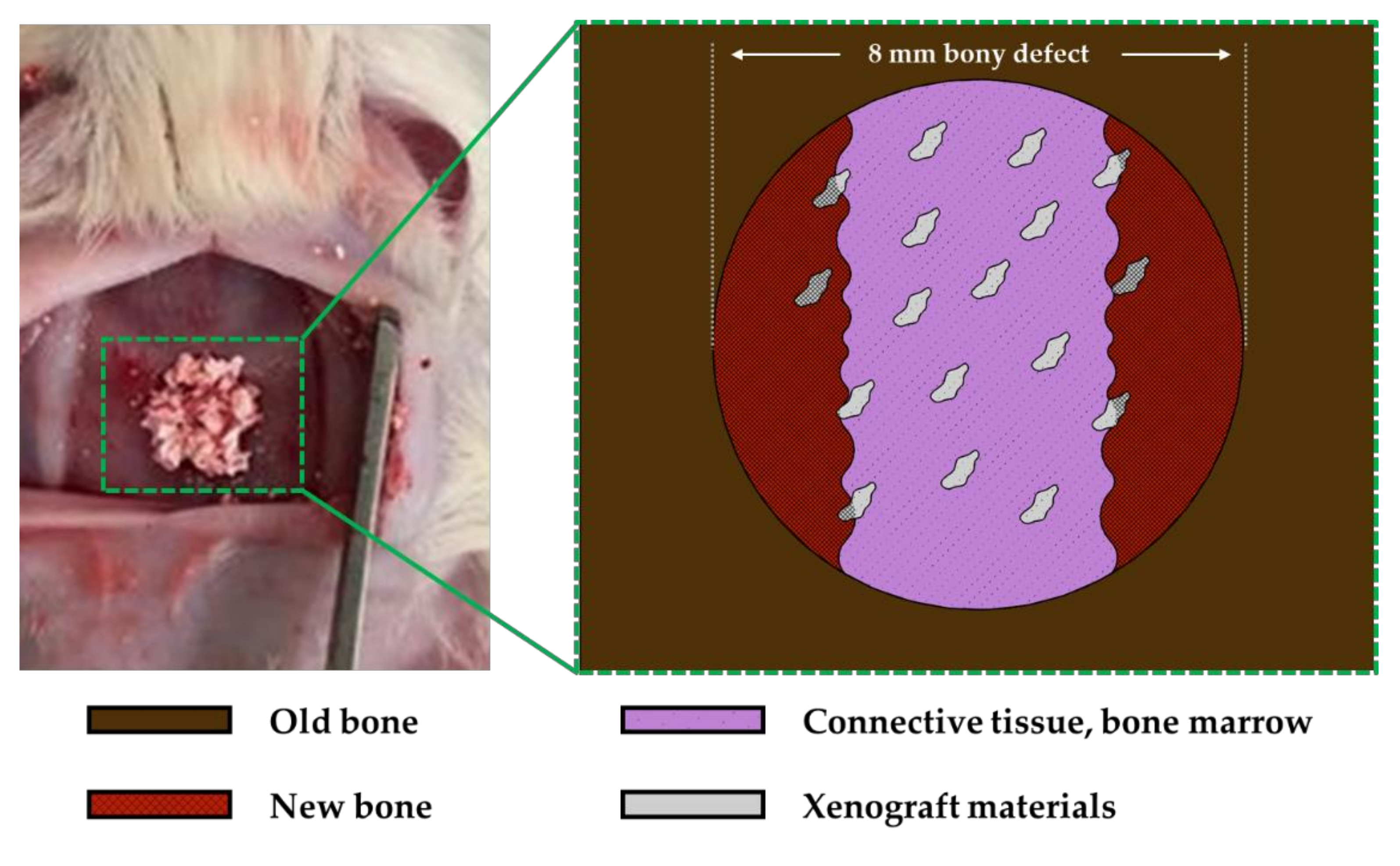 Materials 13 04391 g003