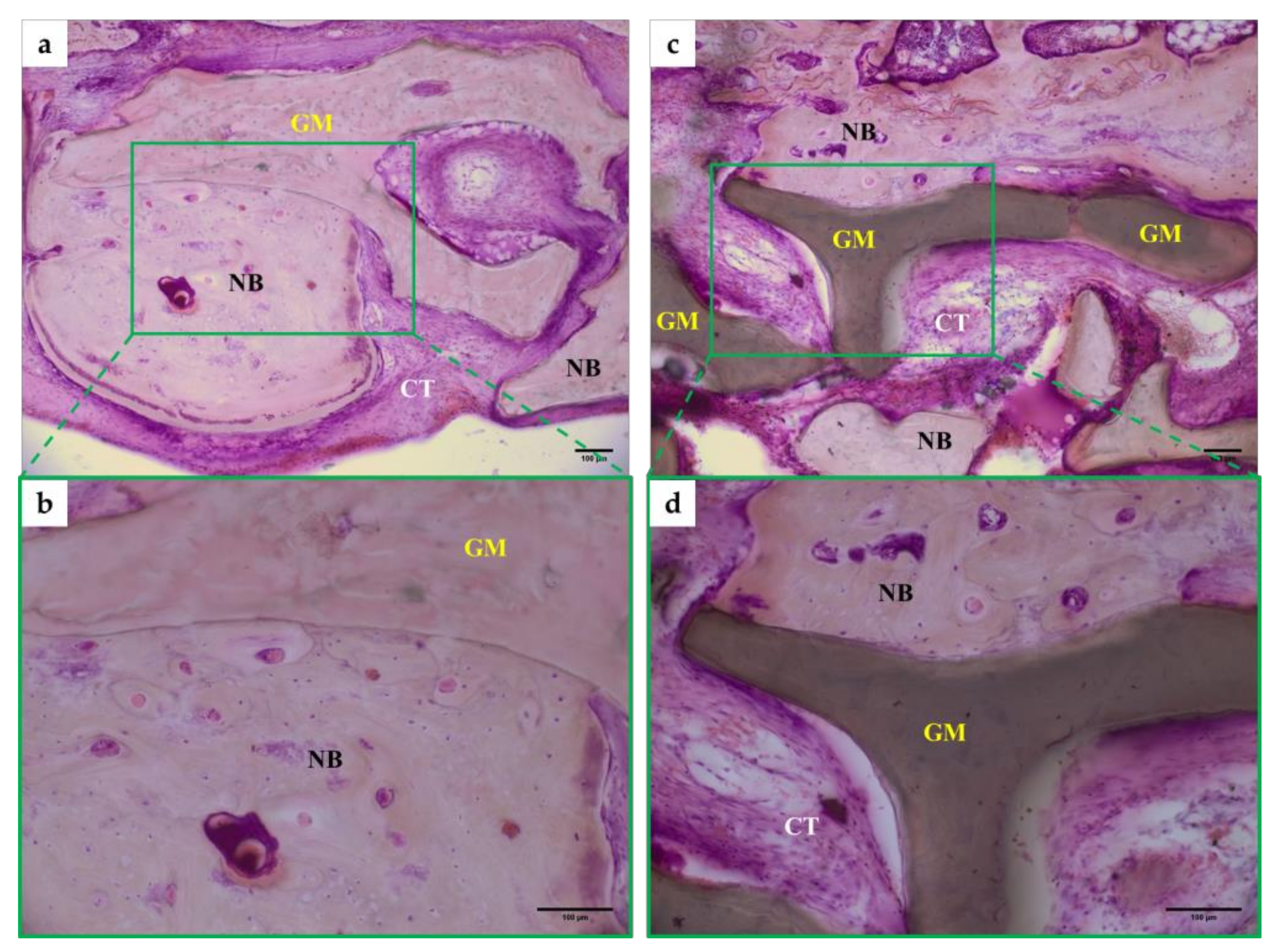 Materials 13 04391 g005
