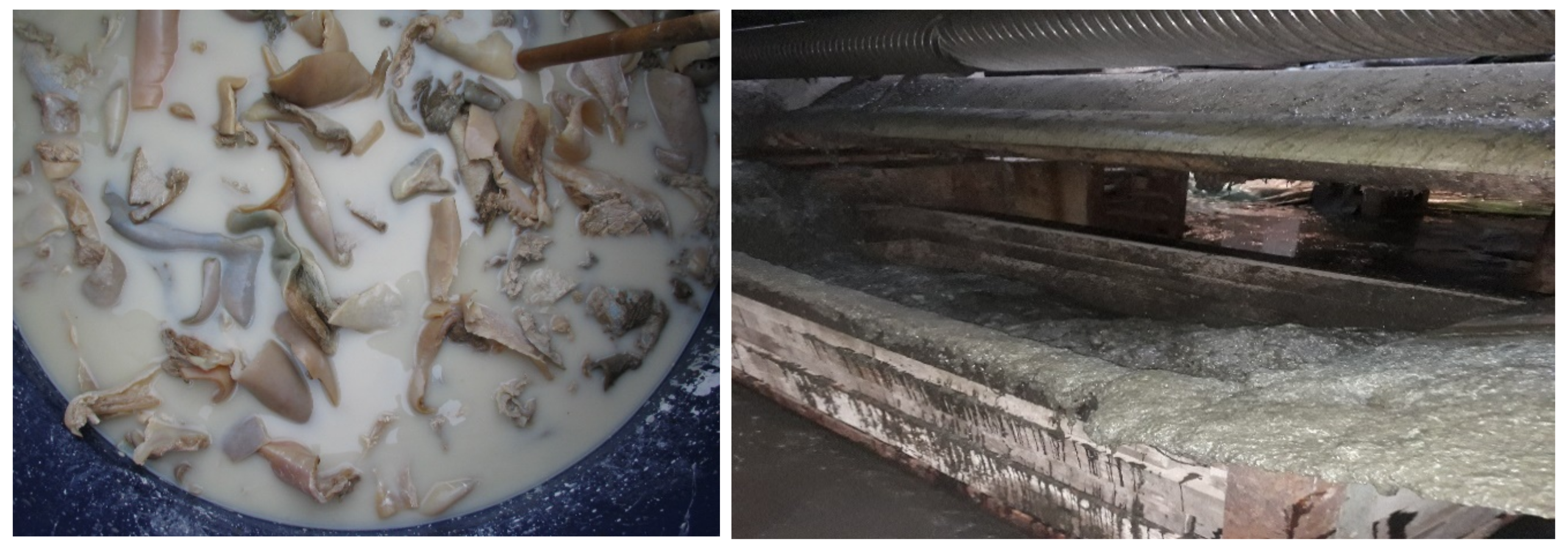 Materials 13 04396 g001