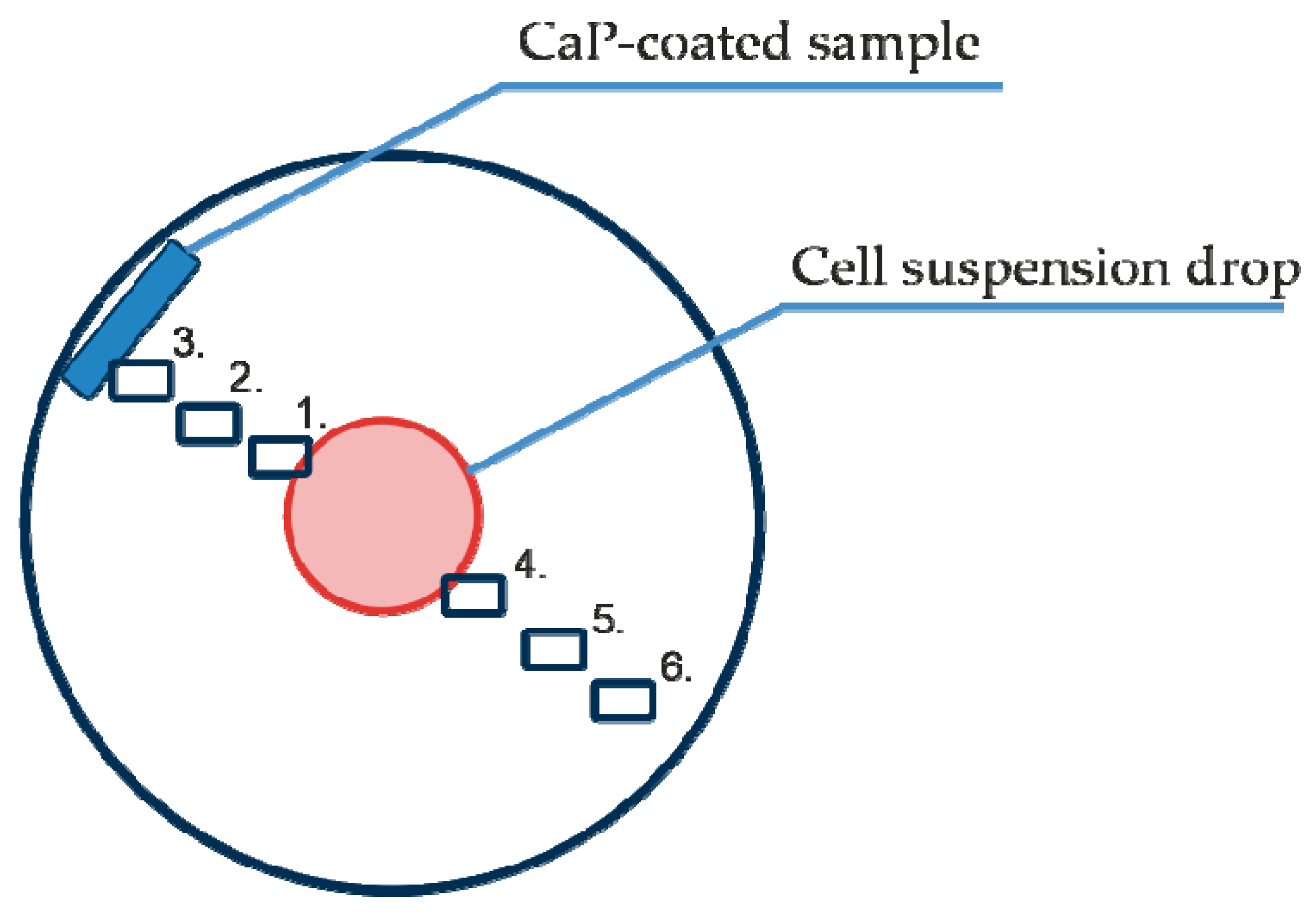 Materials 13 04398 g001