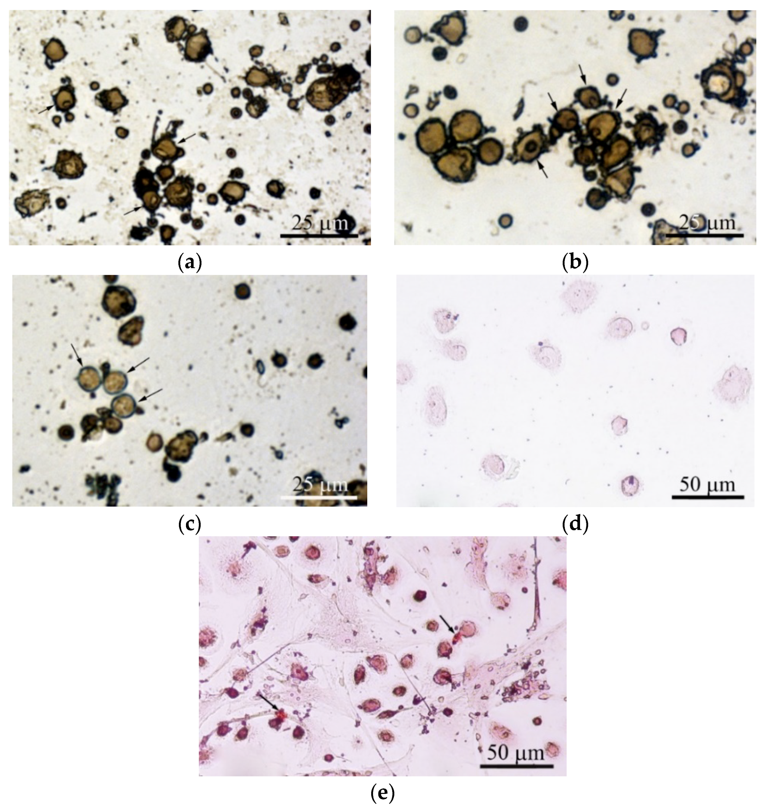 Materials 13 04398 g006