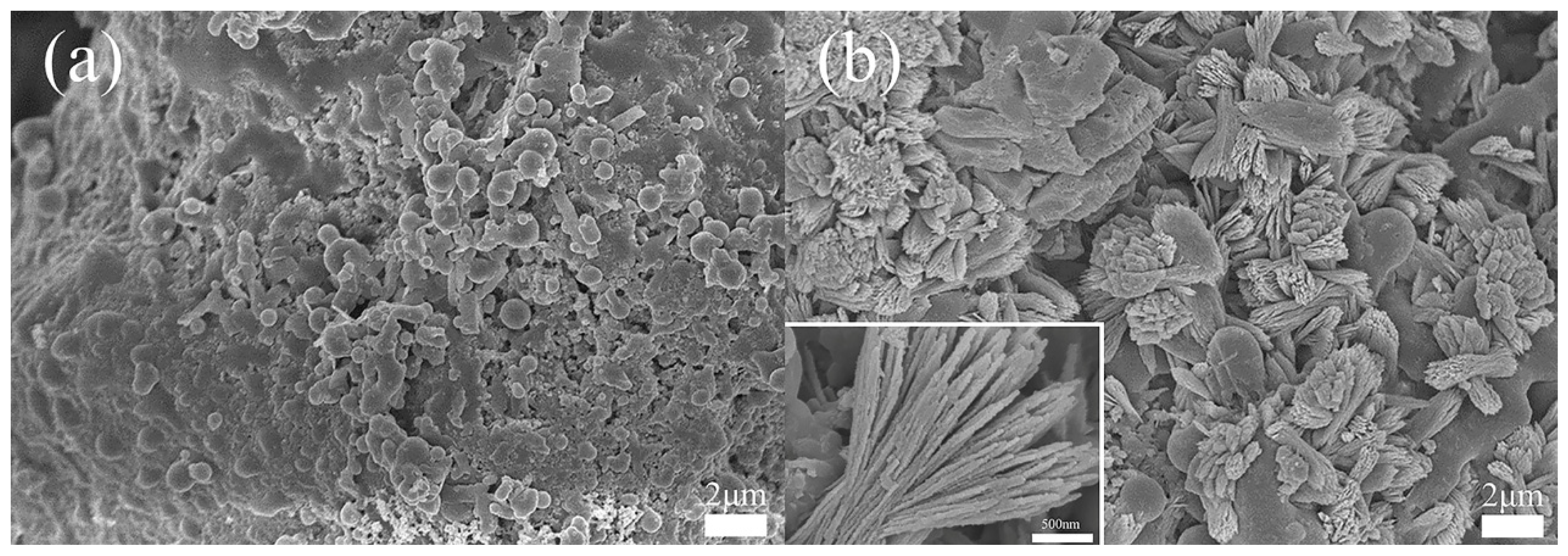 Materials 13 04403 g003