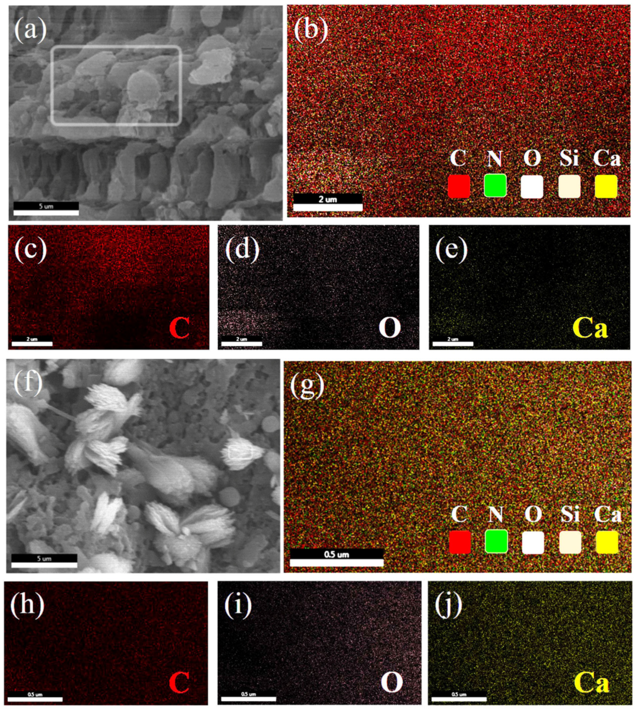 Materials 13 04403 g004