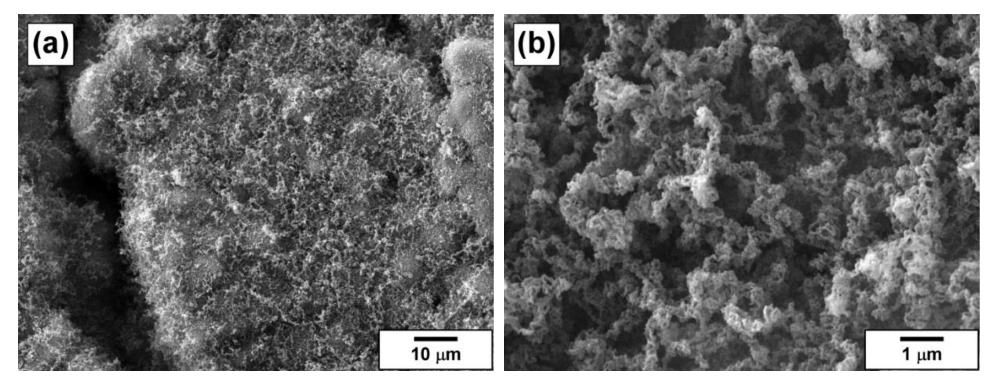 Materials 13 04404 g006