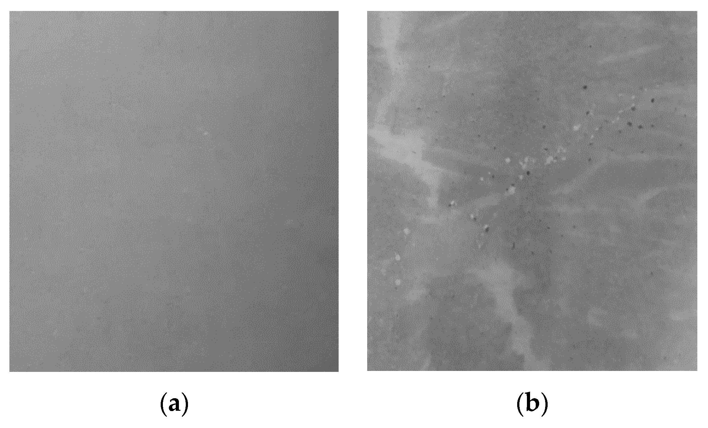 Materials 13 04405 g014