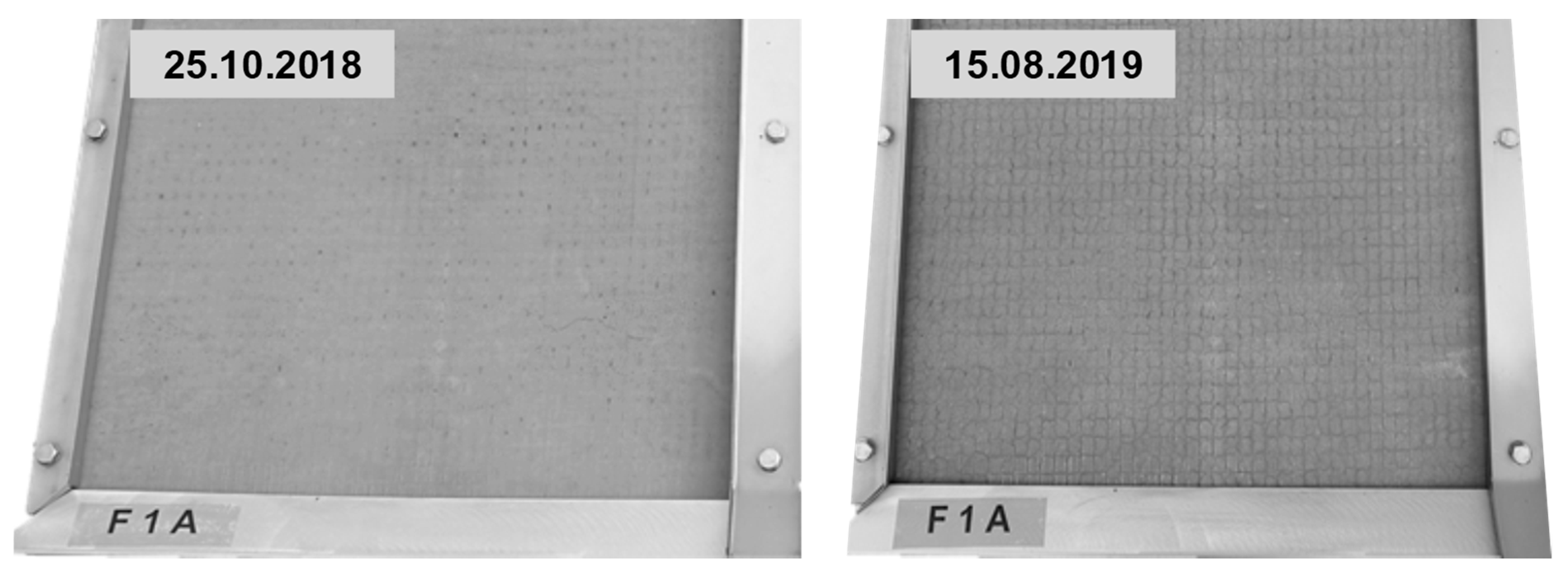 Materials 13 04405 g017