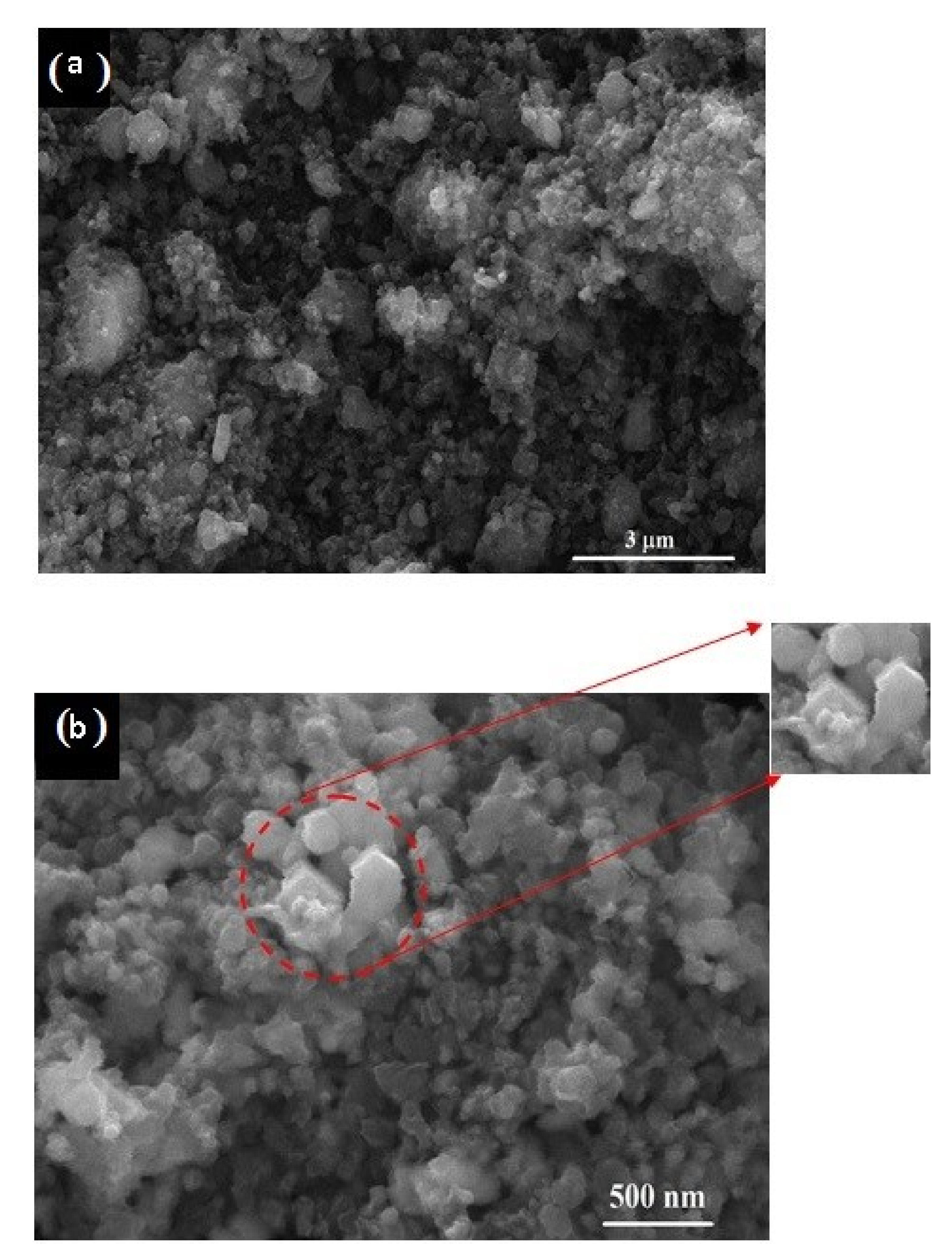 Materials 13 04408 g006