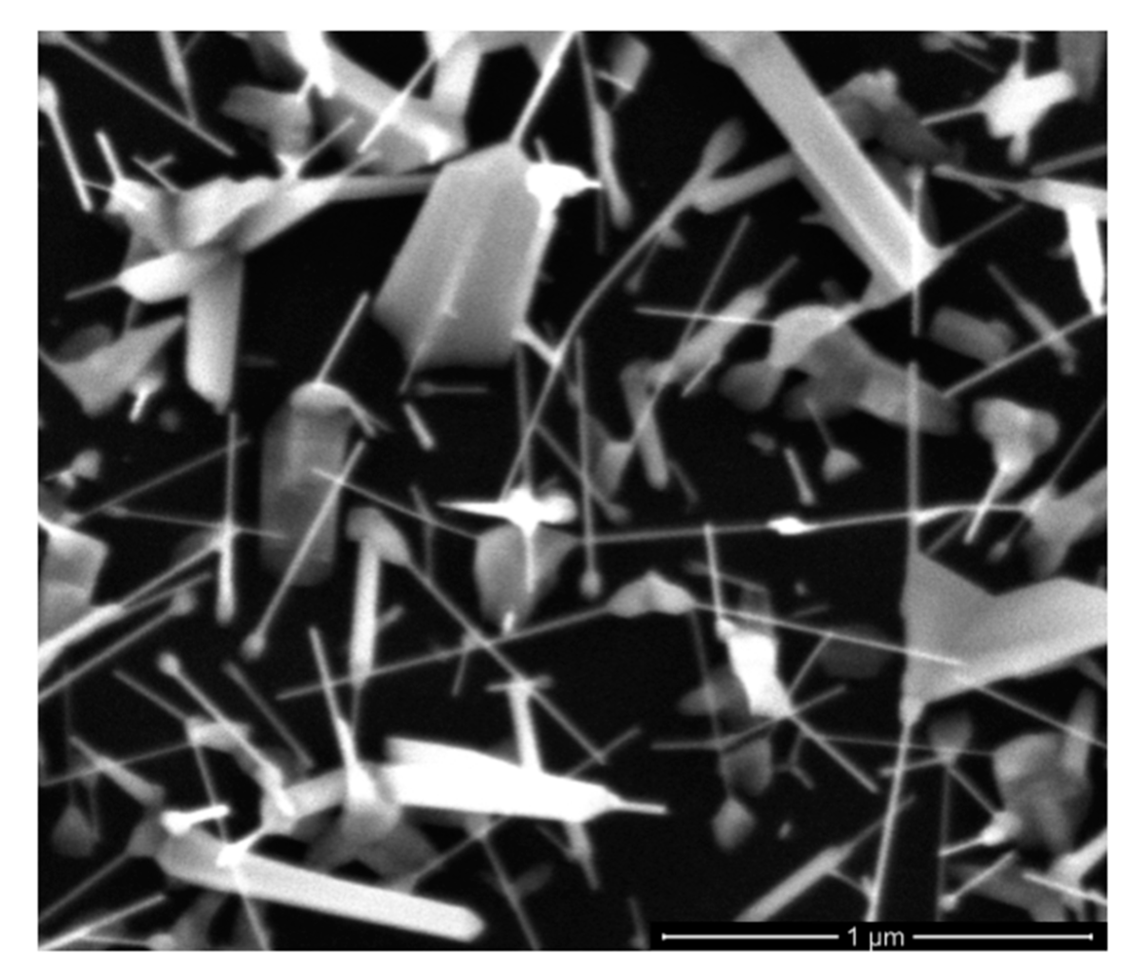 Materials 13 04427 g003