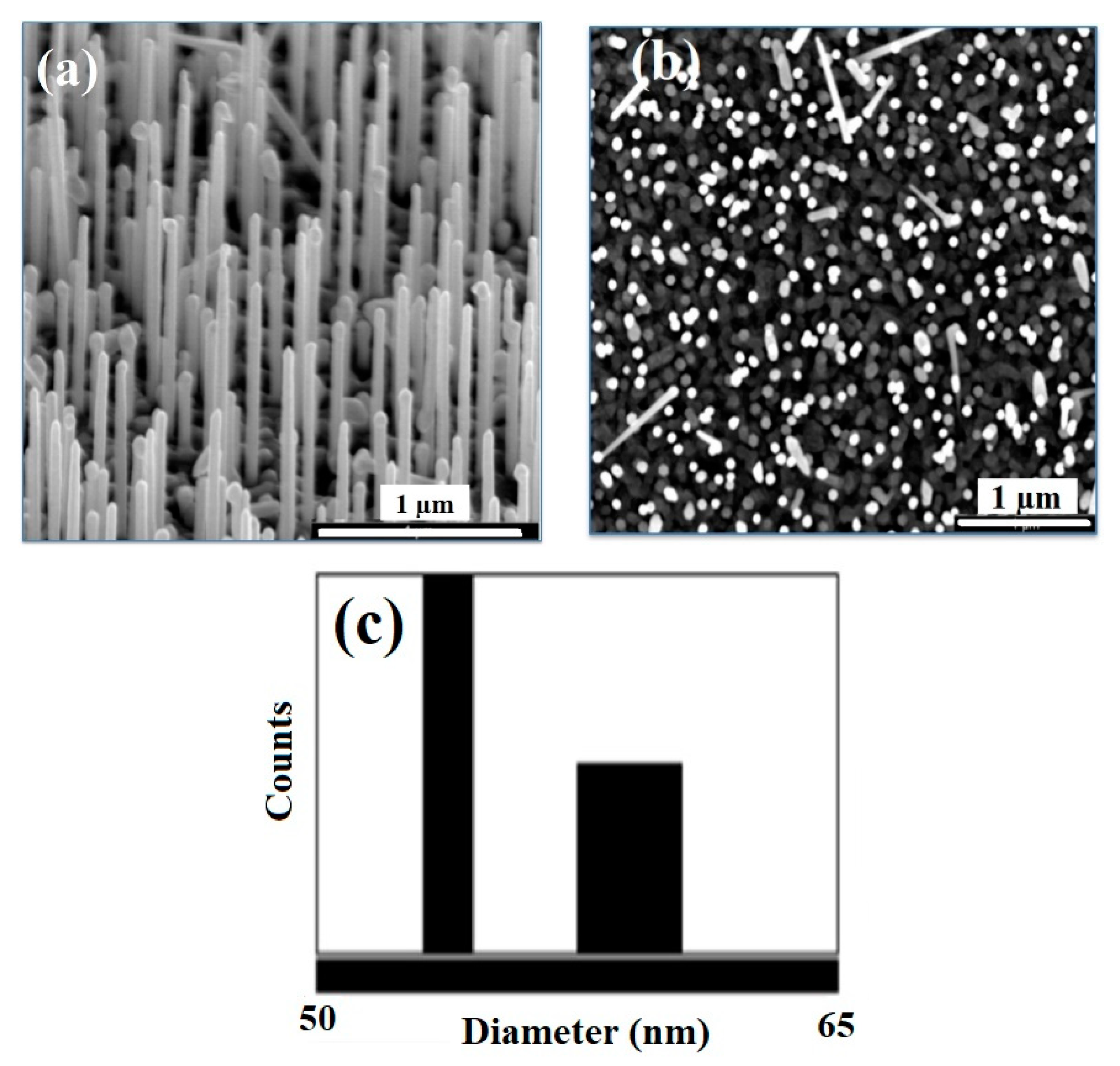 Materials 13 04427 g004