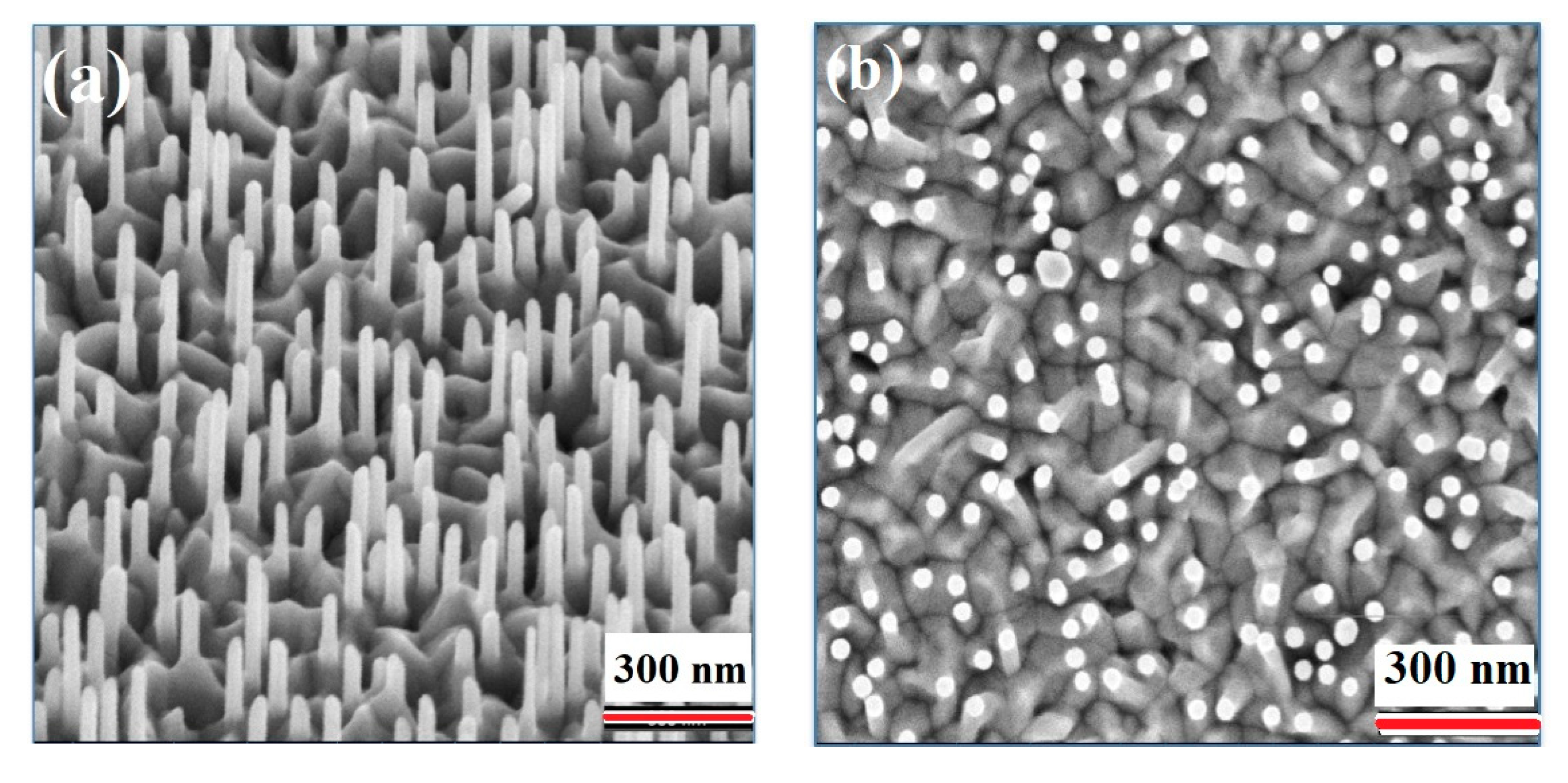 Materials 13 04427 g005a