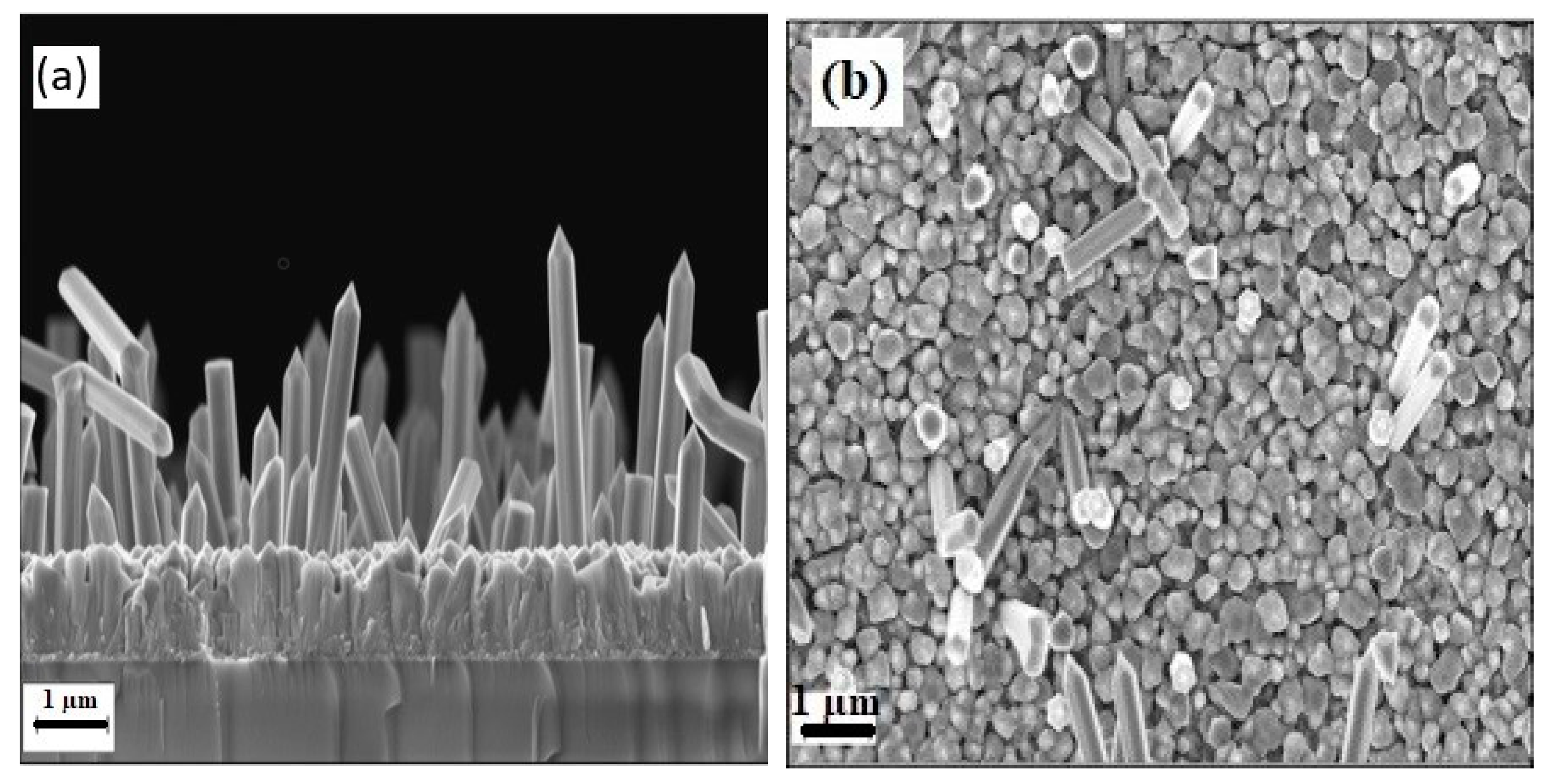 Materials 13 04427 g006