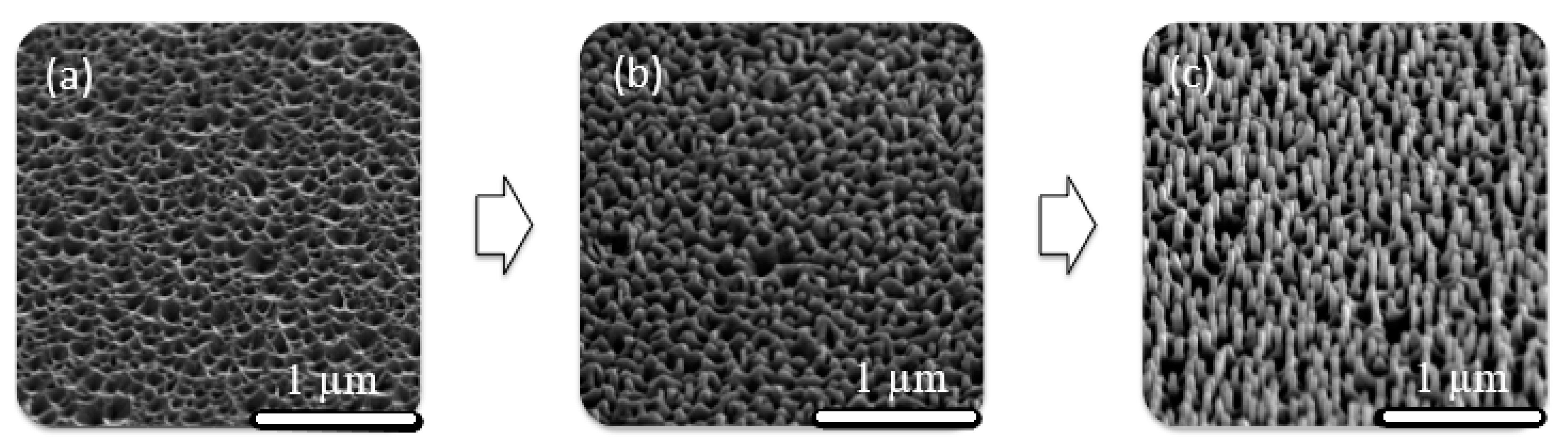 Materials 13 04427 g011